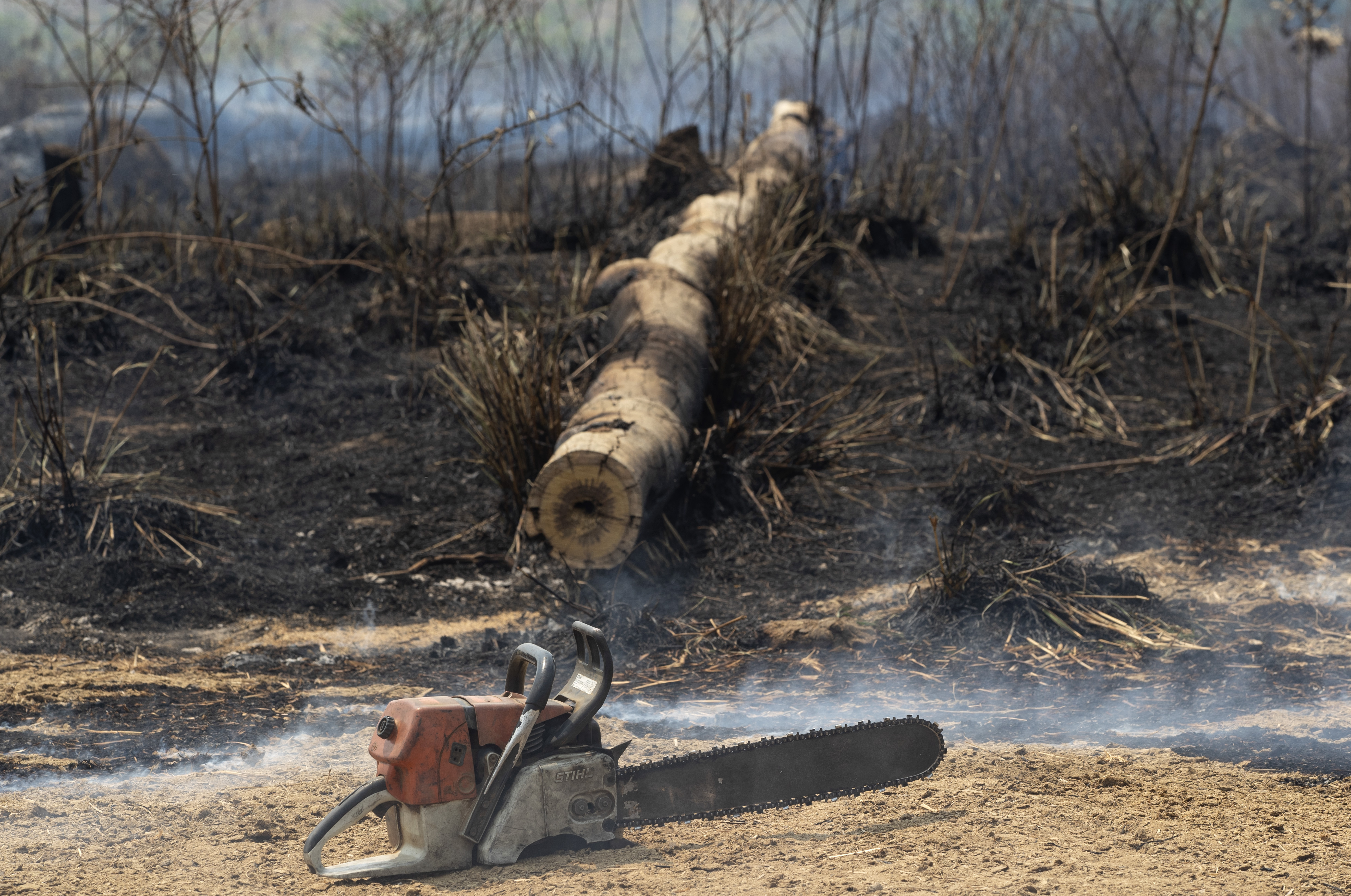 Brazil Rainforest testera secenje paljenje sume