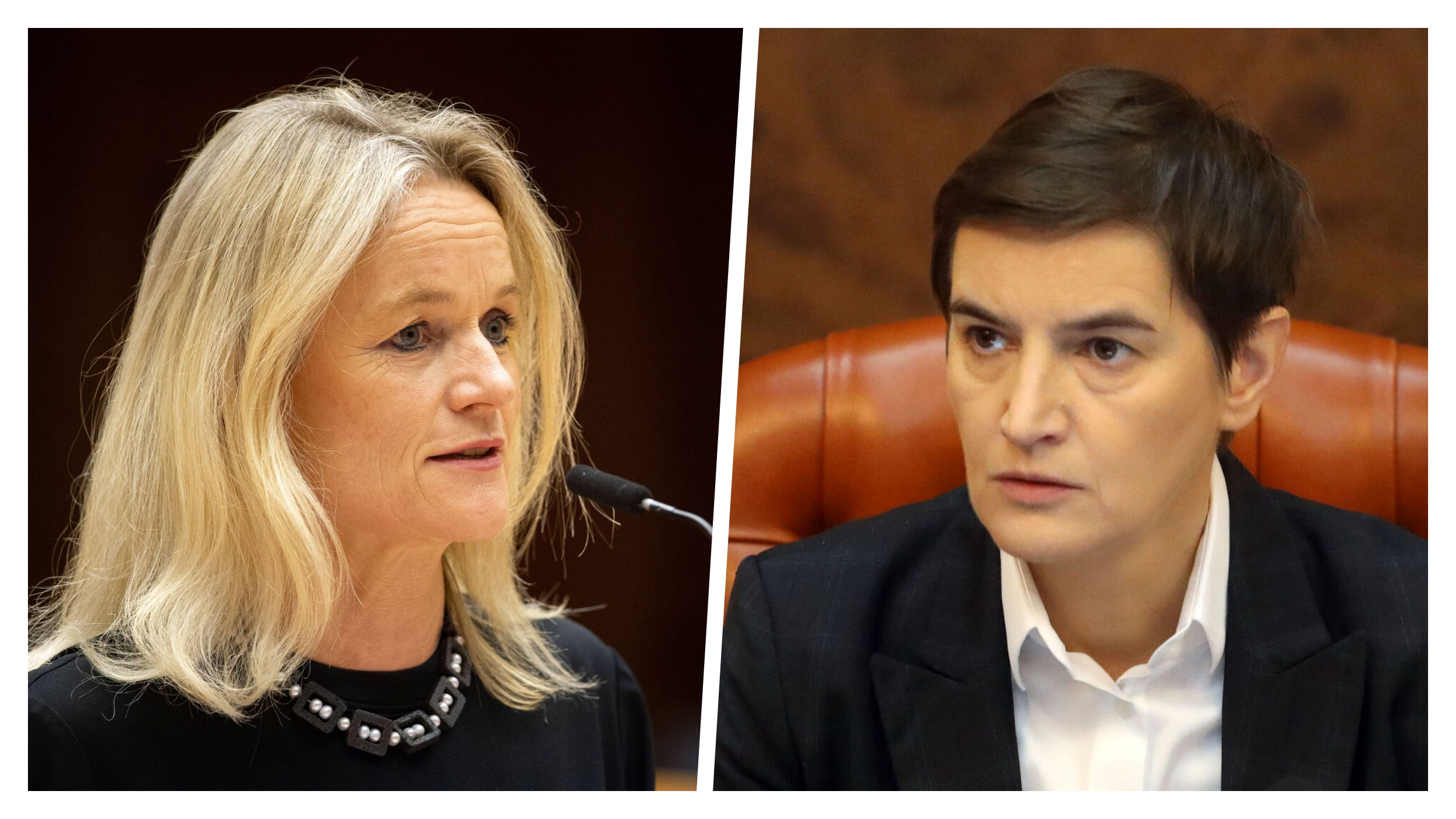 Viola fon Kramon , Ana Brnabić kombo