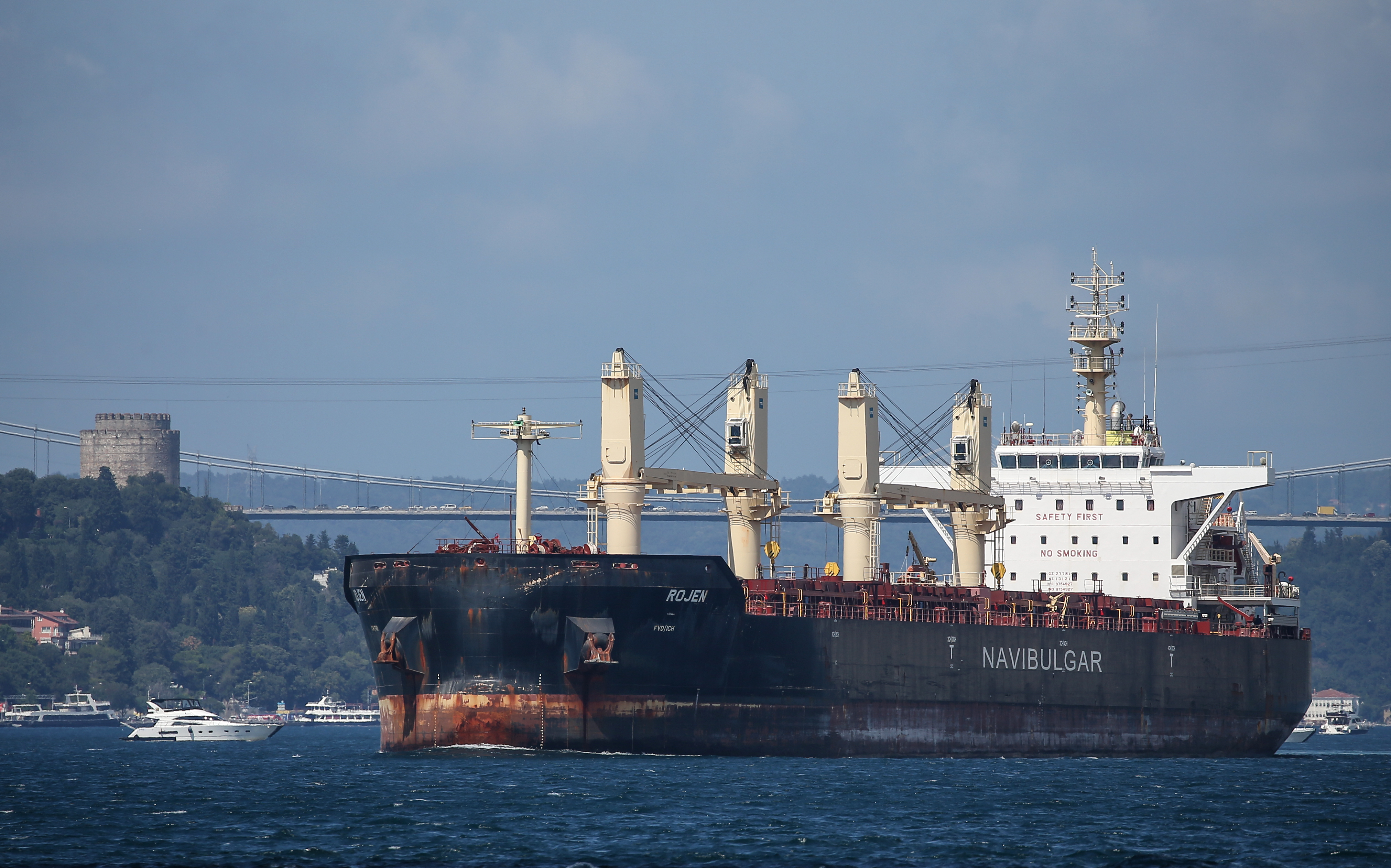 The second ship carrying Ukrainian grain reached Istanbul