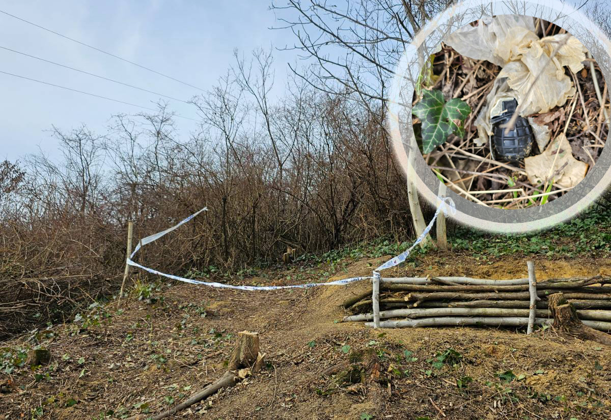 1708603495-mesto-02a