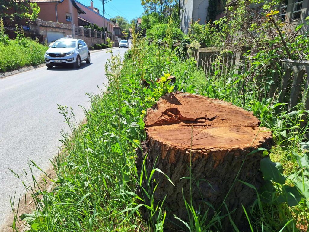 Niš, Kovanlučka ulica