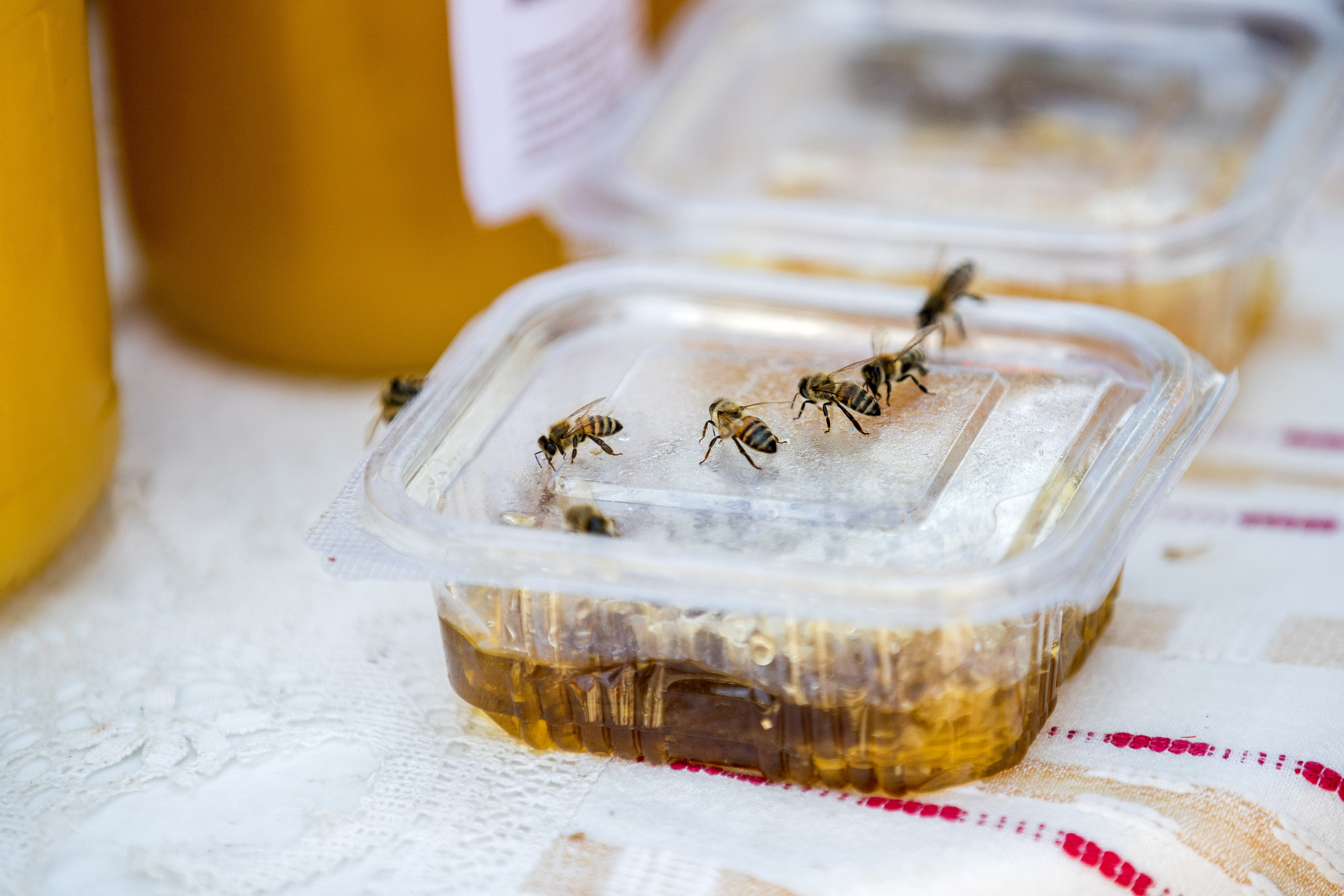 Beekeepers' Fair in Chisinau med pcele