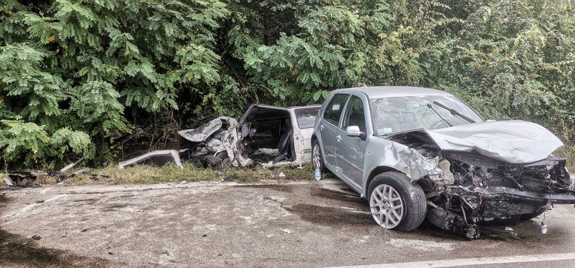 Udes Gornja Toponica, Niš poslala Biljana Ljubisavljević