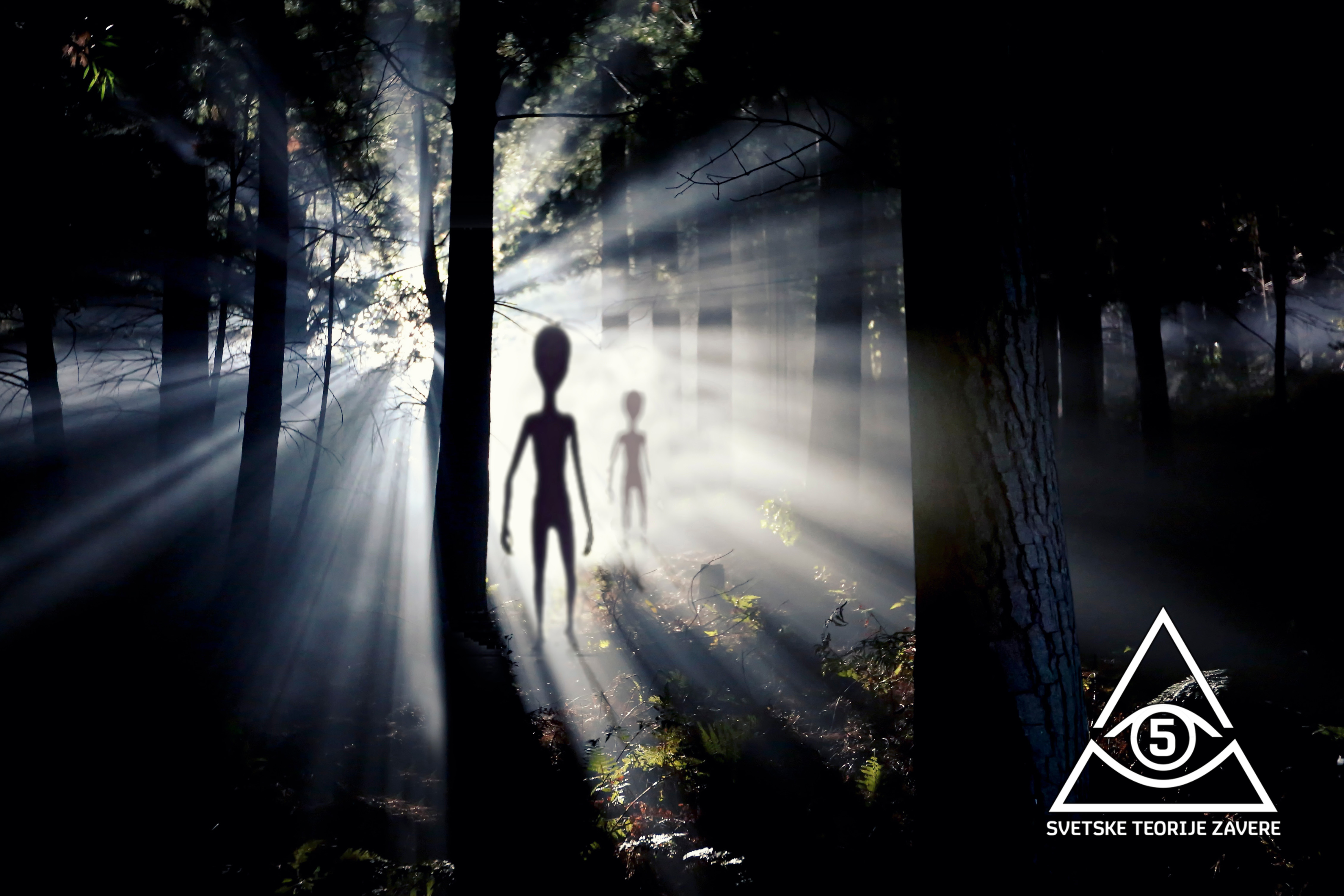 shutterstock_1235227927 2