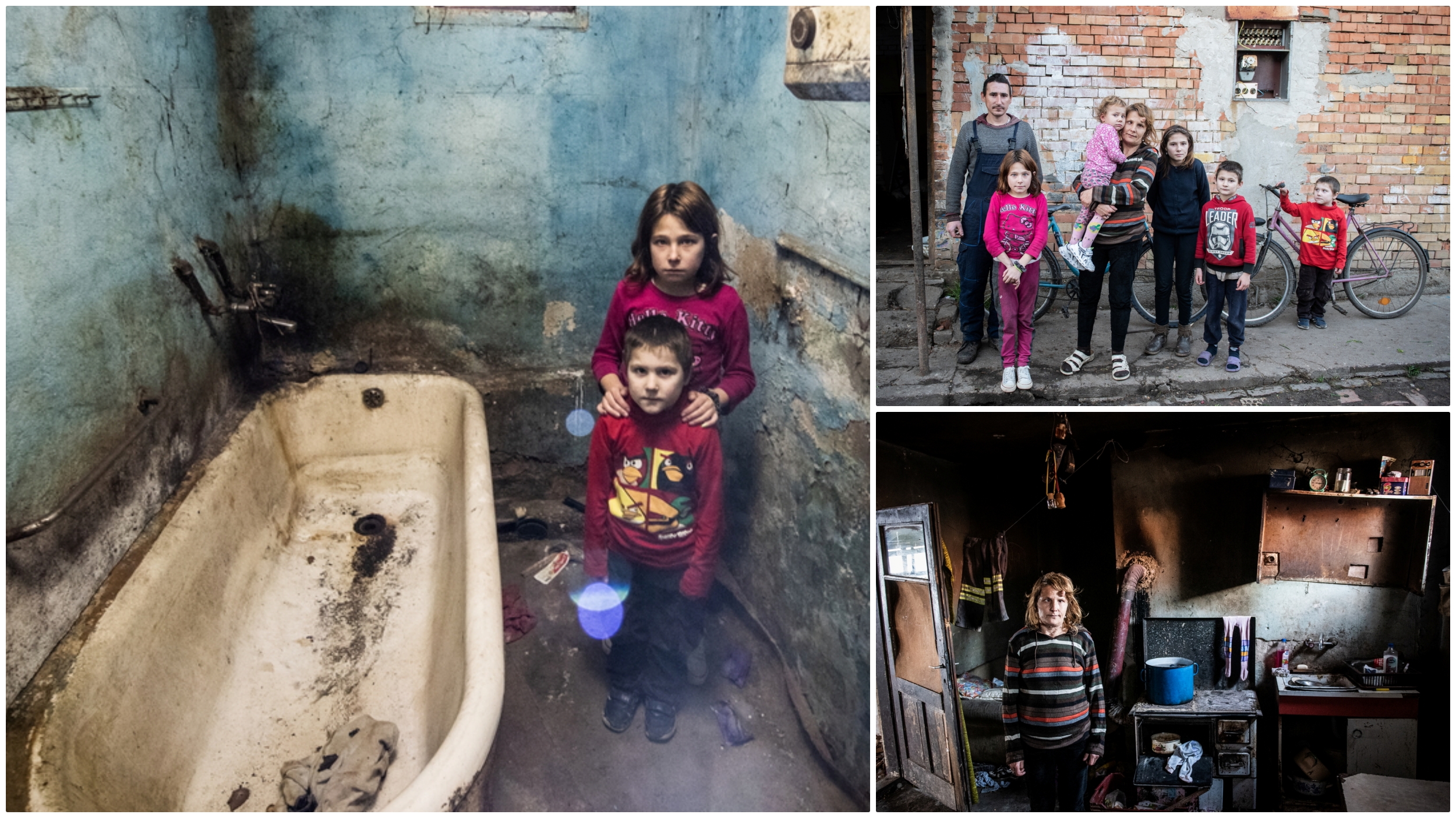 ilijin porodica novo milosevo