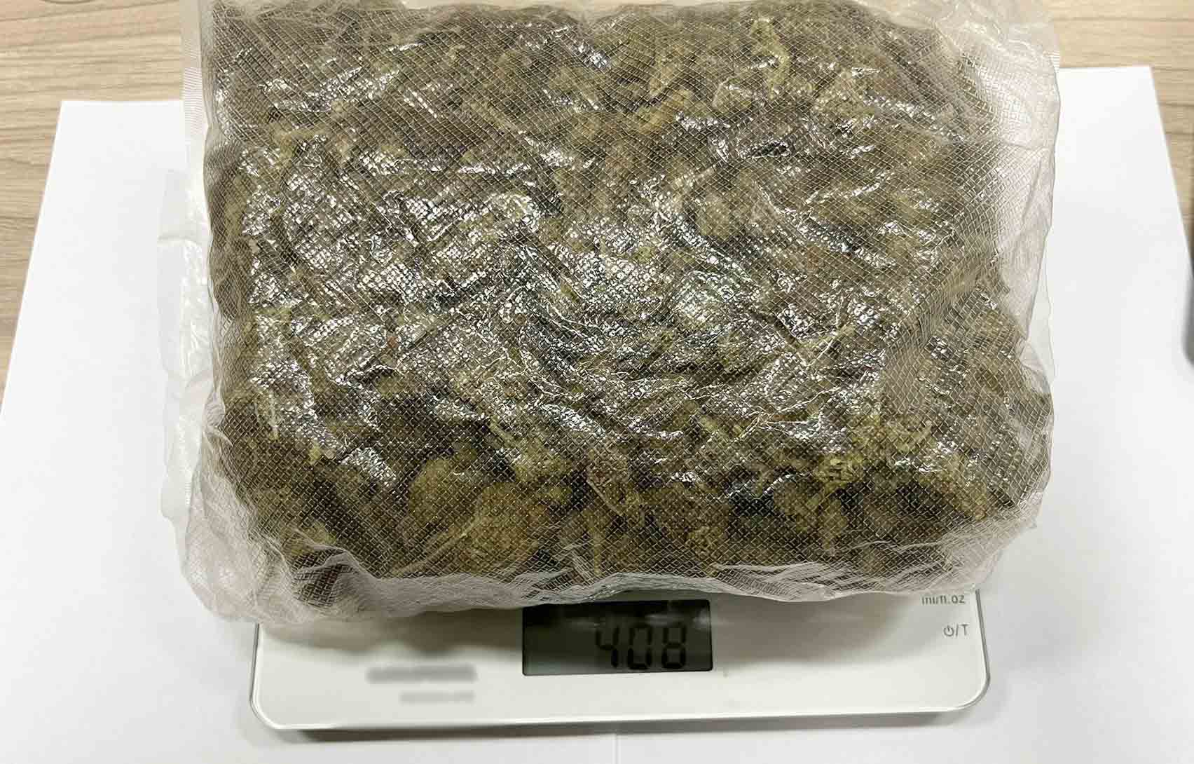 ZELENA BILJNA MATERIJA