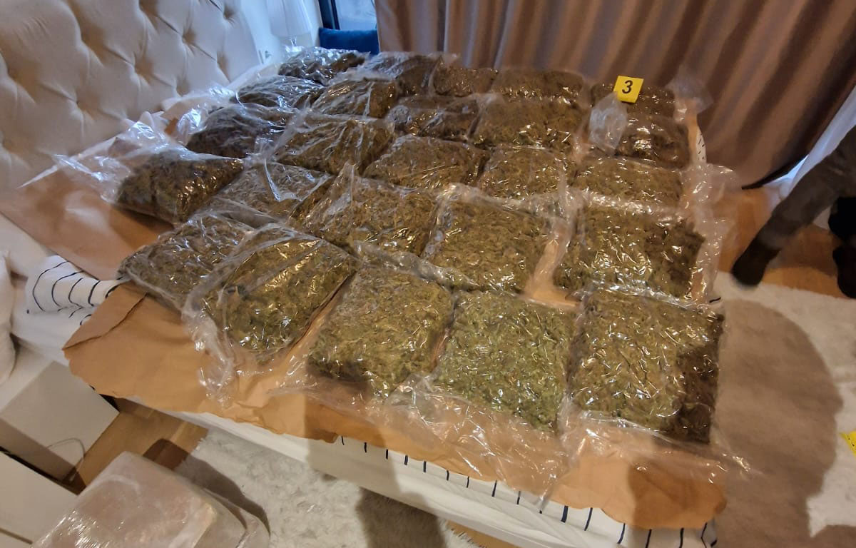Zaplena droga marihuana