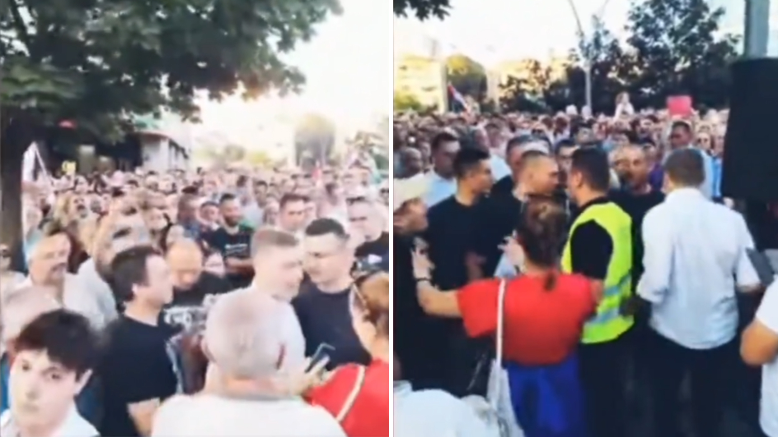 teraju-Zelenovića-s-protesta