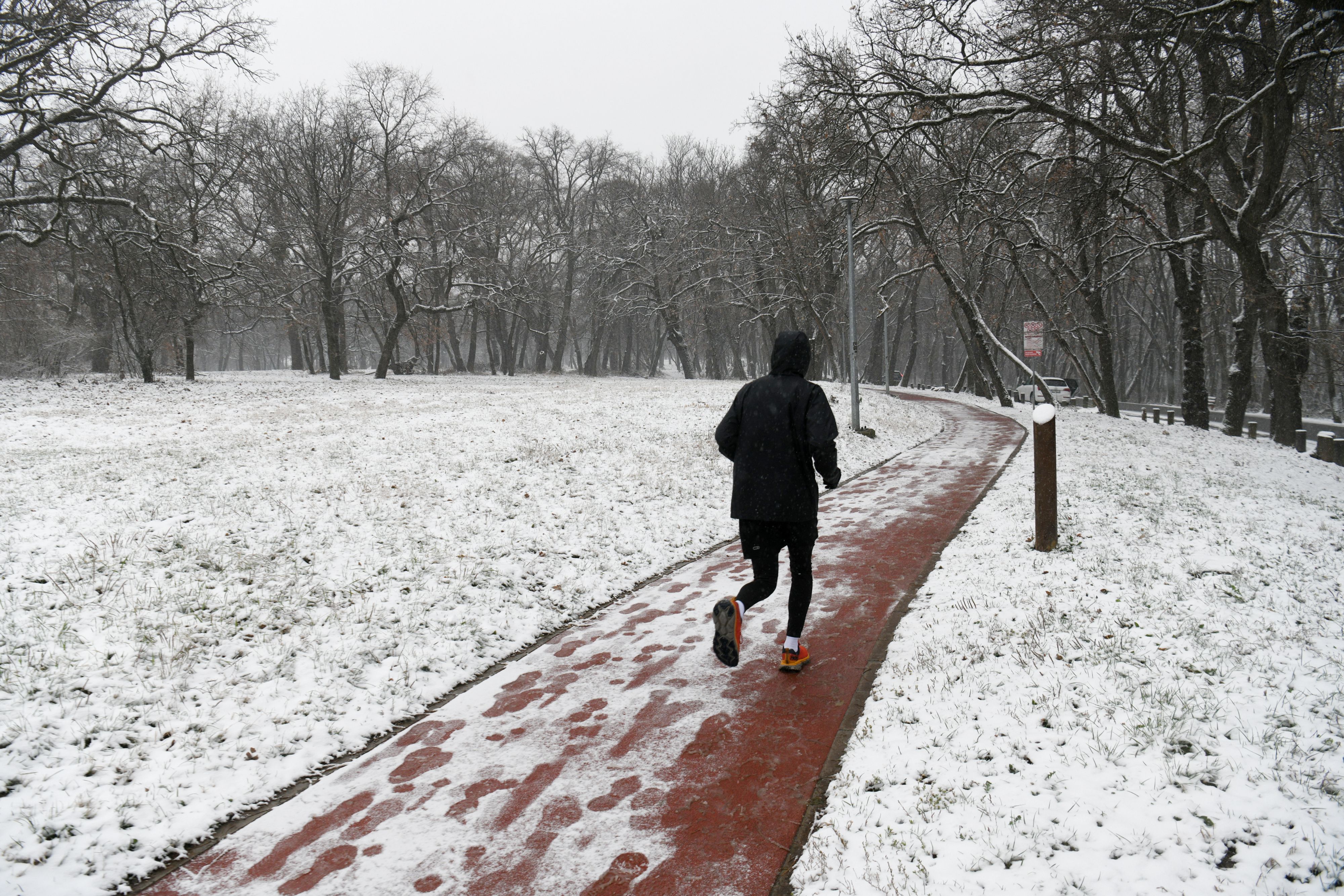 Beograd 08.01.2024. Fičeri, sneg, vreme, vremenska prognoza, zima Foto: Filip Krainčanić/Nova.rs