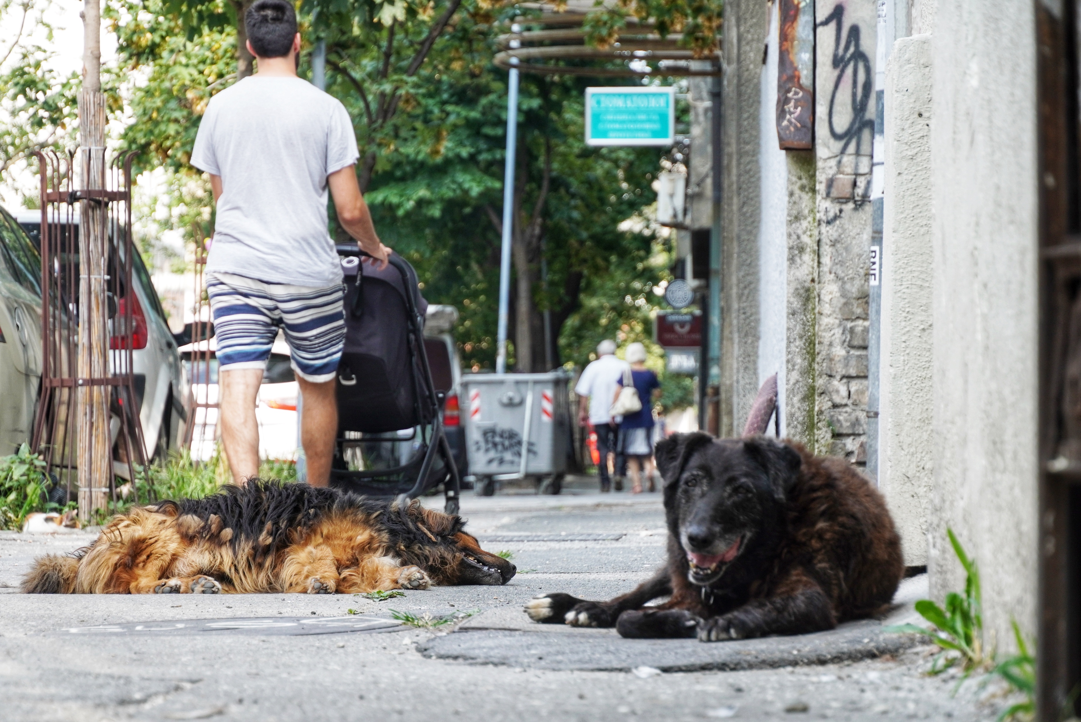 Beograd, 19. avgusta 2023 - Dan u Beogradu. FOTO TANJUG/ VLADIMIR PORÈIÆ/bs