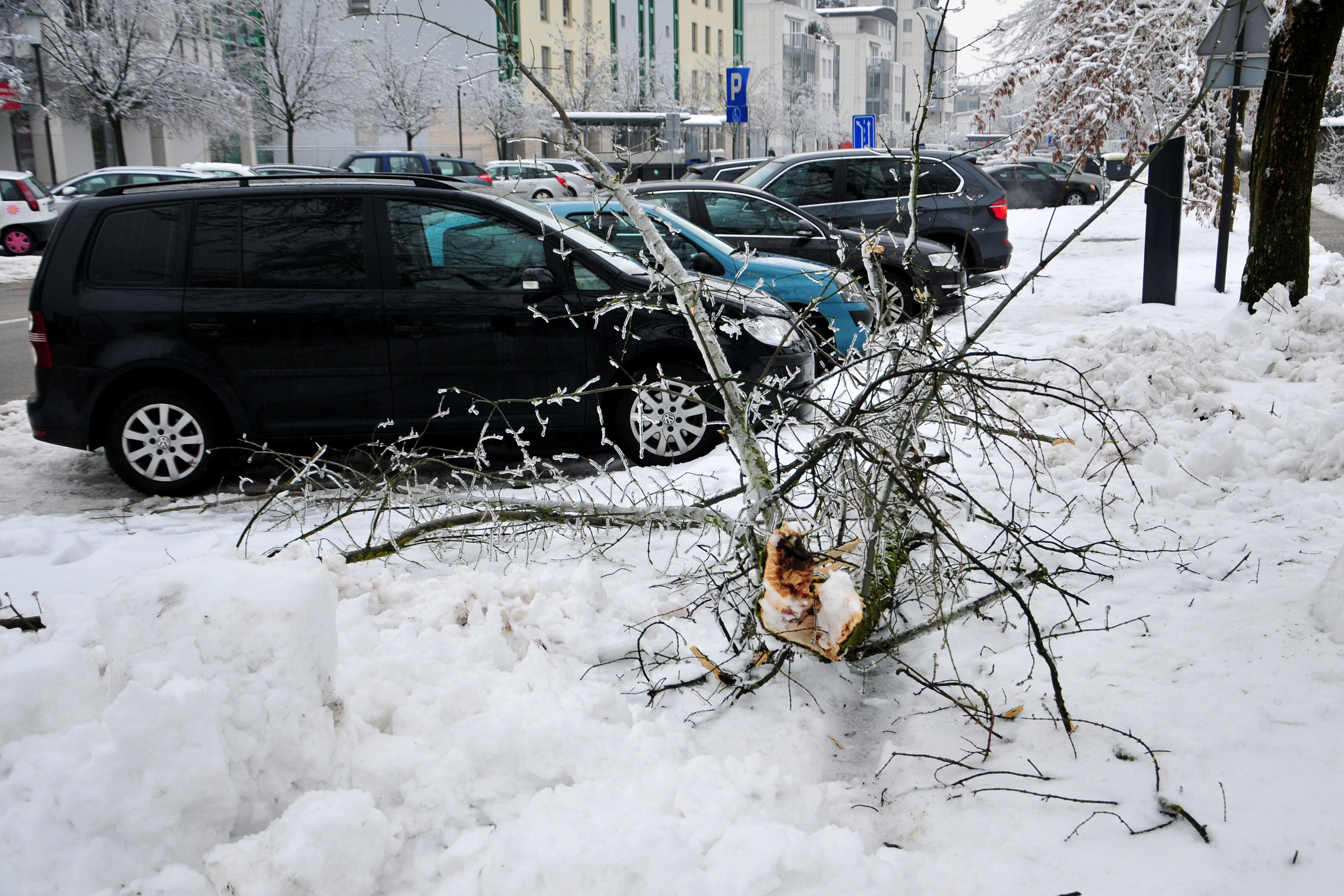 Slovenija sneg, obilne padavine, Heavy snow cause severe damage in Slovenia