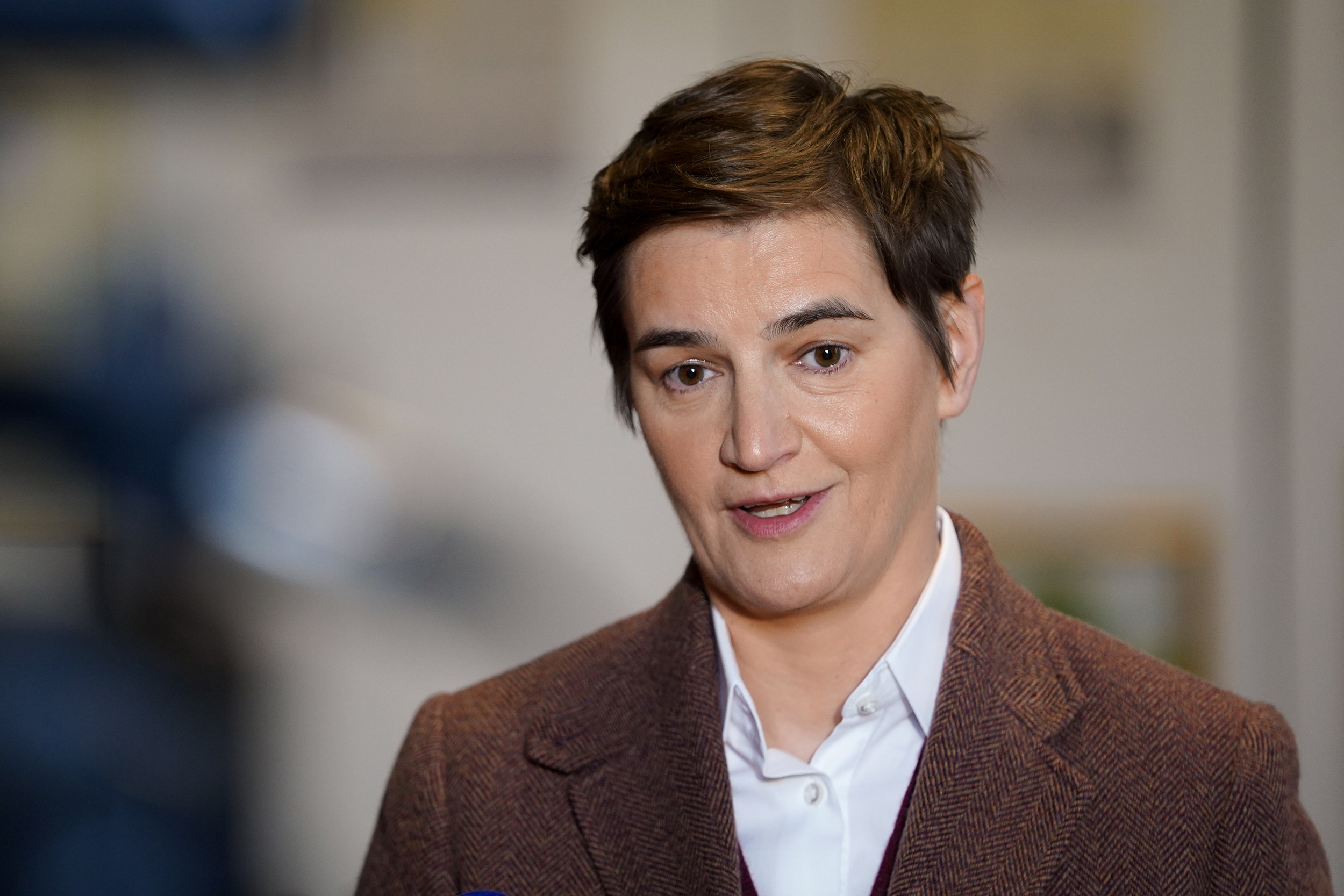 ANA BRNABIĆ