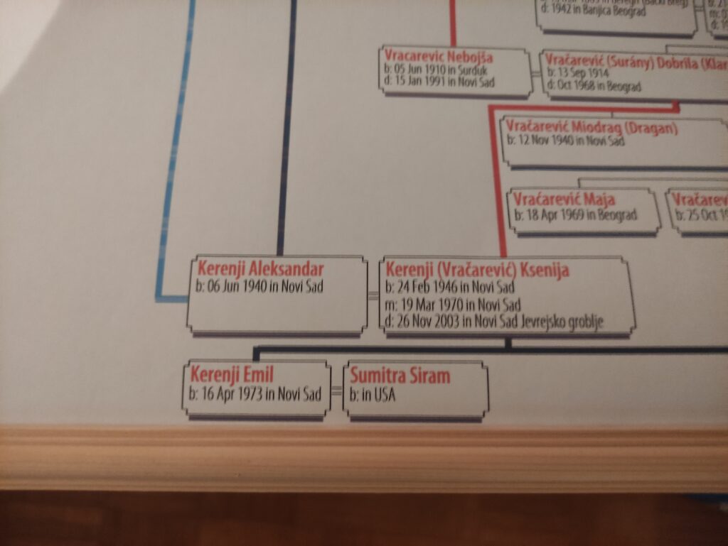 Aleksandar Kerenji. Novosadska racija