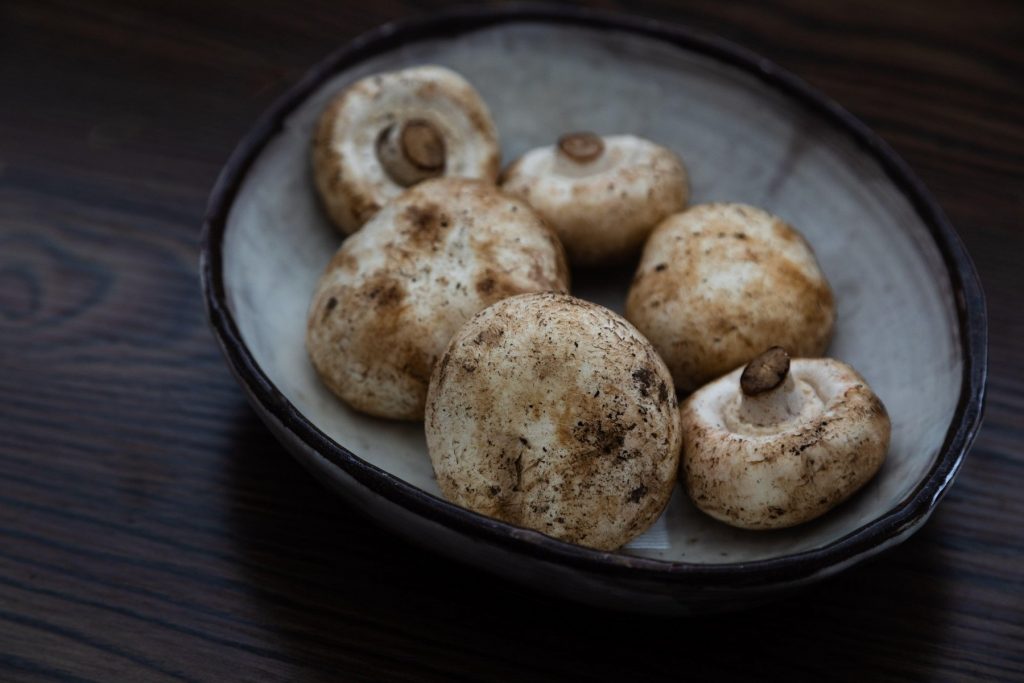 Image: 538072296, License: Rights-managed, Restrictions: , Model Release: no, Credit line: jmeyersforeman / Alamy / Alamy / Profimedia