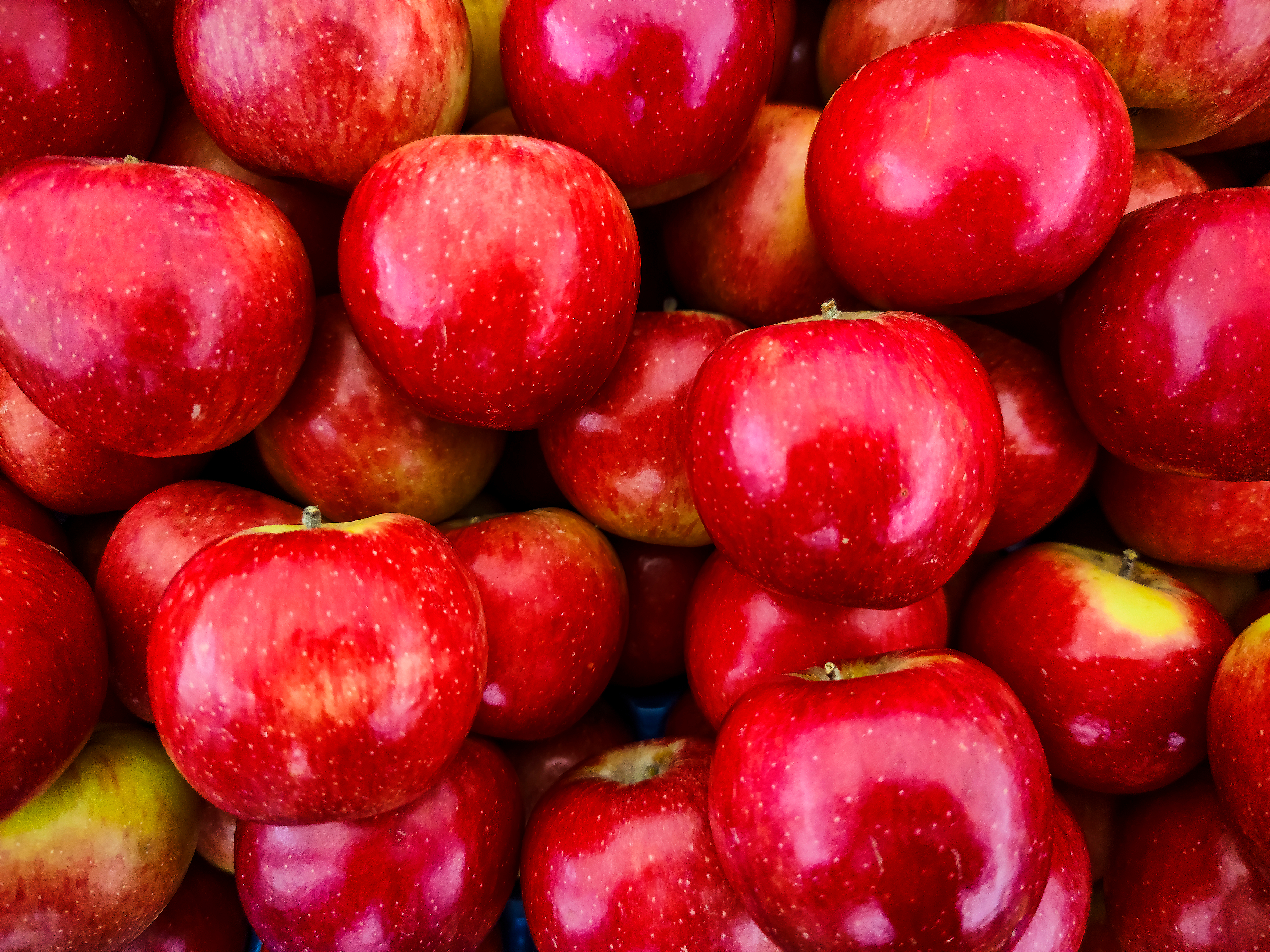 Fresh,,Organic,,Ripe,Red,Apples,On,The,Fruit,Market,Display.