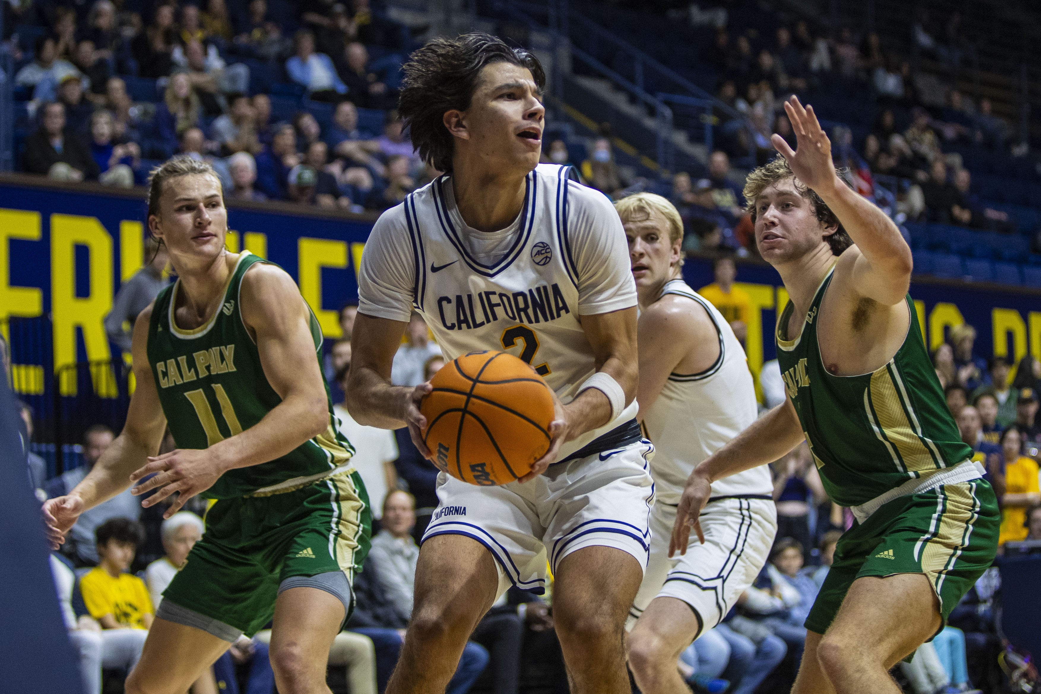 NCAA Mens Basketball 2024: Cal Poly vs California  NOV 07
