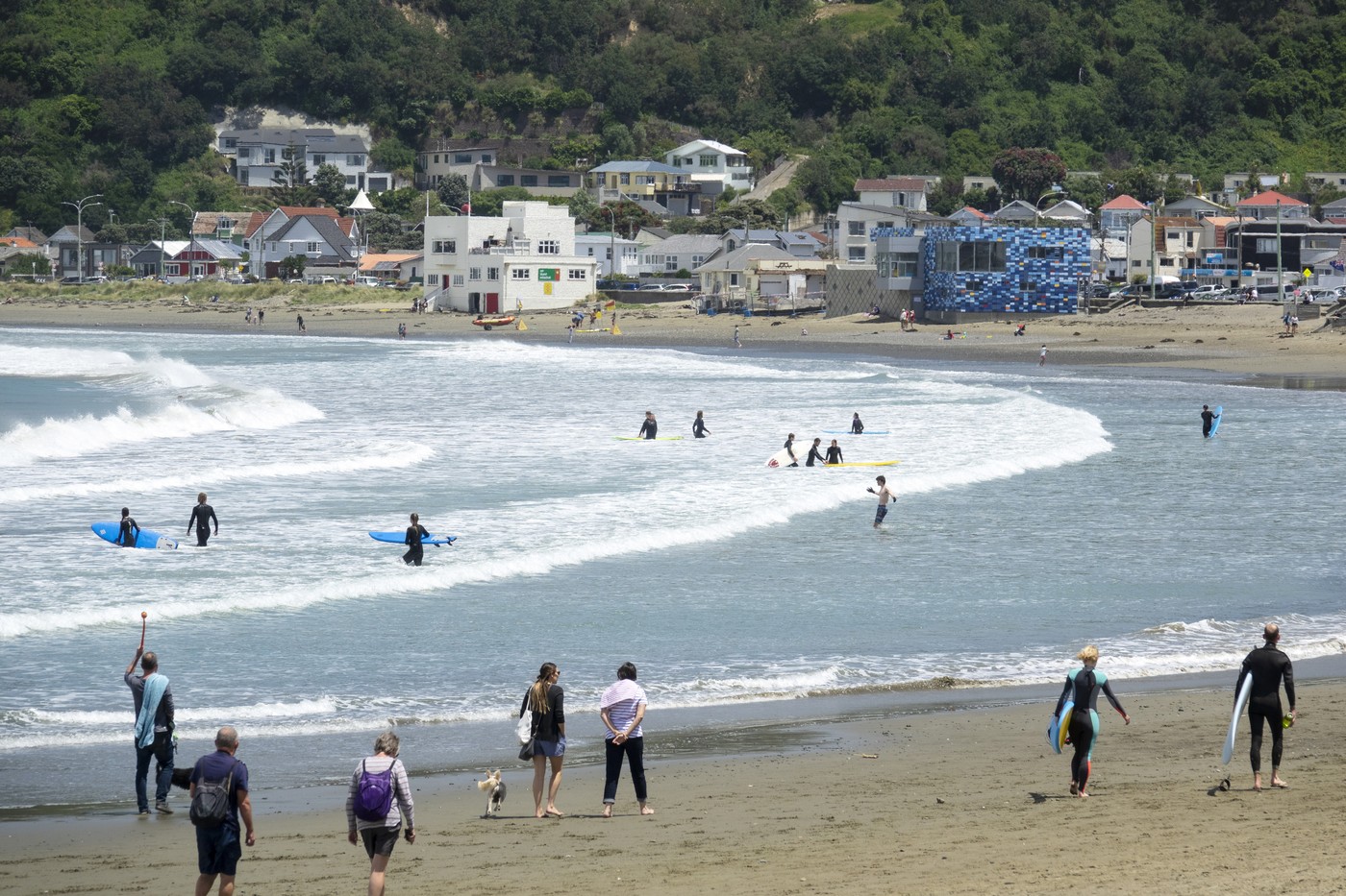 Surfers and walkers, Lyall Bay, Wellington, North Island, New Zealand, Pacific,Image: 468671343, License: Rights-managed, Restrictions: , Model Release: no, Credit line: Nick Servian / robertharding / Profimedia
