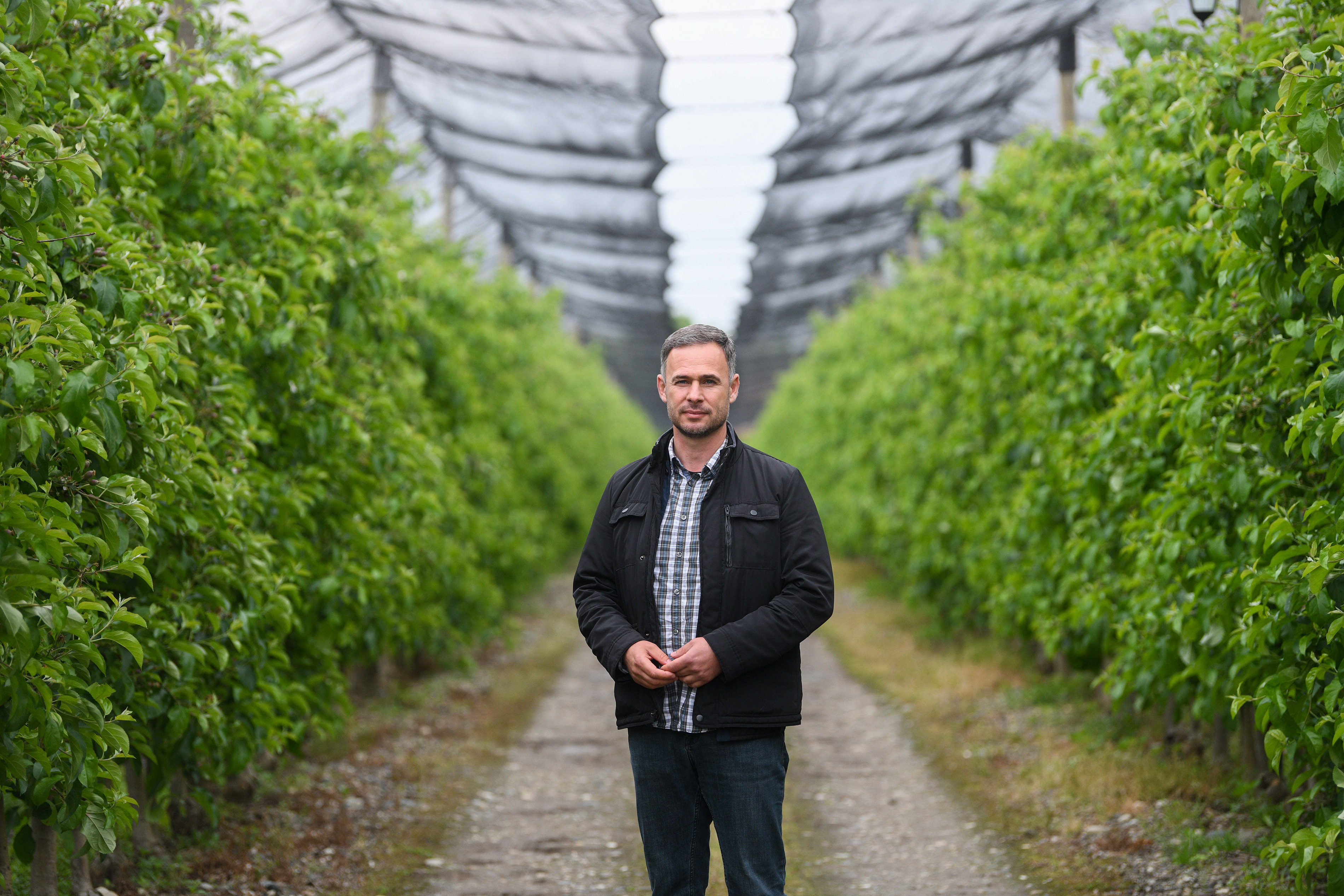 Počekovina 27. april 2024. Miroslav Miki Aleksić političar i poljoprivrednik, predsednik stranke Narodni pokret Srbije (NPS), intervju i obilazak njegovog imanja u selu Počekovina nadomak Trstenika Foto:Filip Krainčanić/Nova.rs