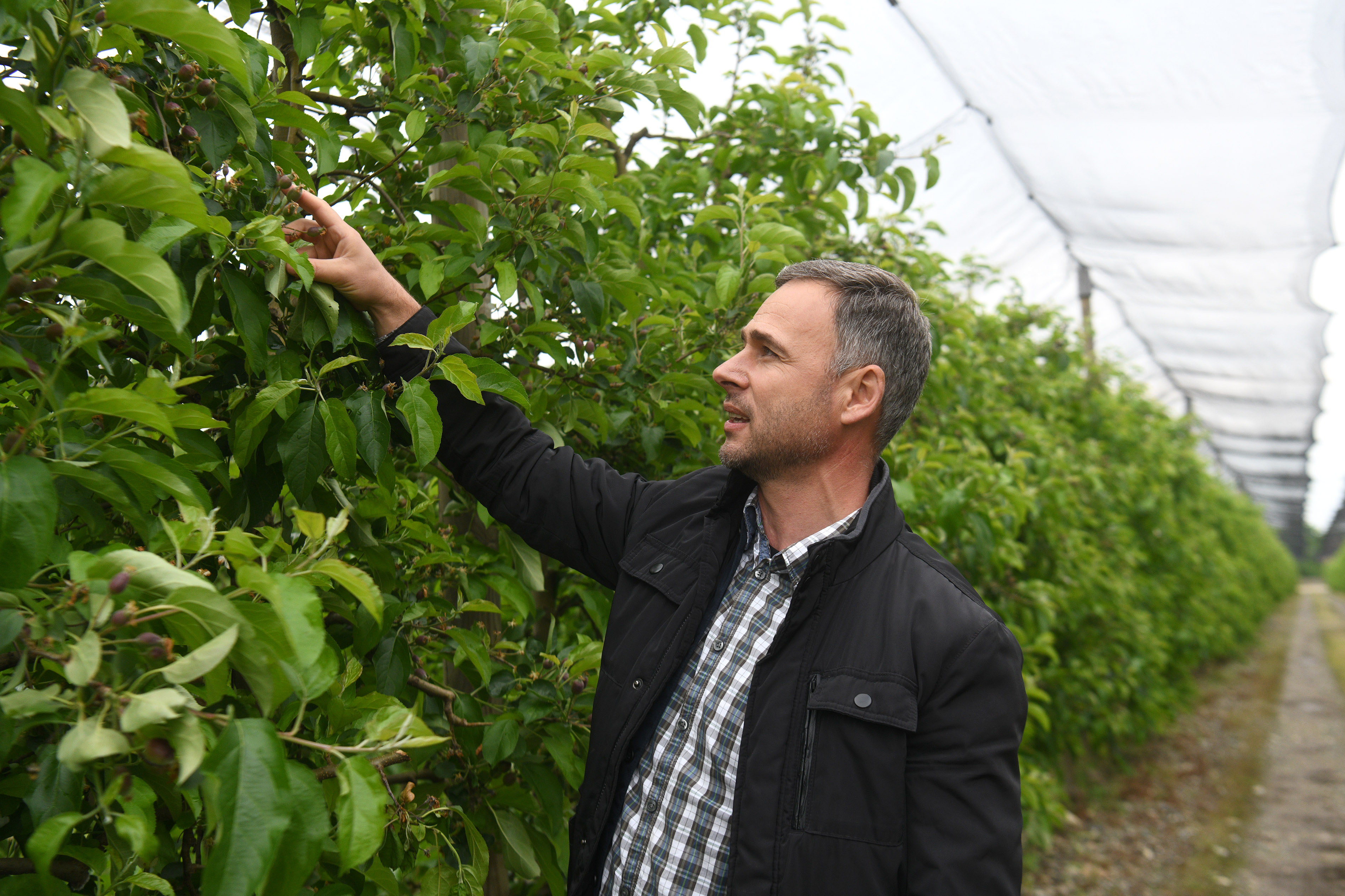 Počekovina 27. april 2024. Miroslav Miki Aleksić političar i poljoprivrednik, predsednik stranke Narodni pokret Srbije (NPS), intervju i obilazak njegovog imanja u selu Počekovina nadomak Trstenika Foto:Filip Krainčanić/Nova.rs