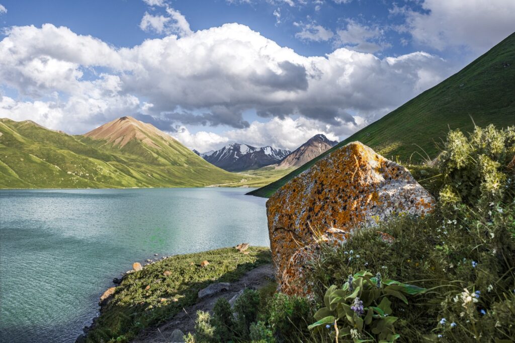 Kol Ukok Mountain Lake surrounded by green mountains under a blue sky, Kyrgyzstan, Central Asia, Asia,Image: 906566231, License: Royalty-free, Restrictions: , Model Release: no, Credit line: Francesco Fanti / robertharding / Profimedia