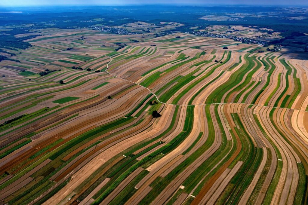 An aerial picture taken with a drone shows farmlands in Suloszowa village, southern Poland, 03 August 2022.,Image: 711775102, License: Rights-managed, Restrictions: POLAND OUT, Model Release: no, Credit line: Lukasz Gagulski / PAP / Profimedia