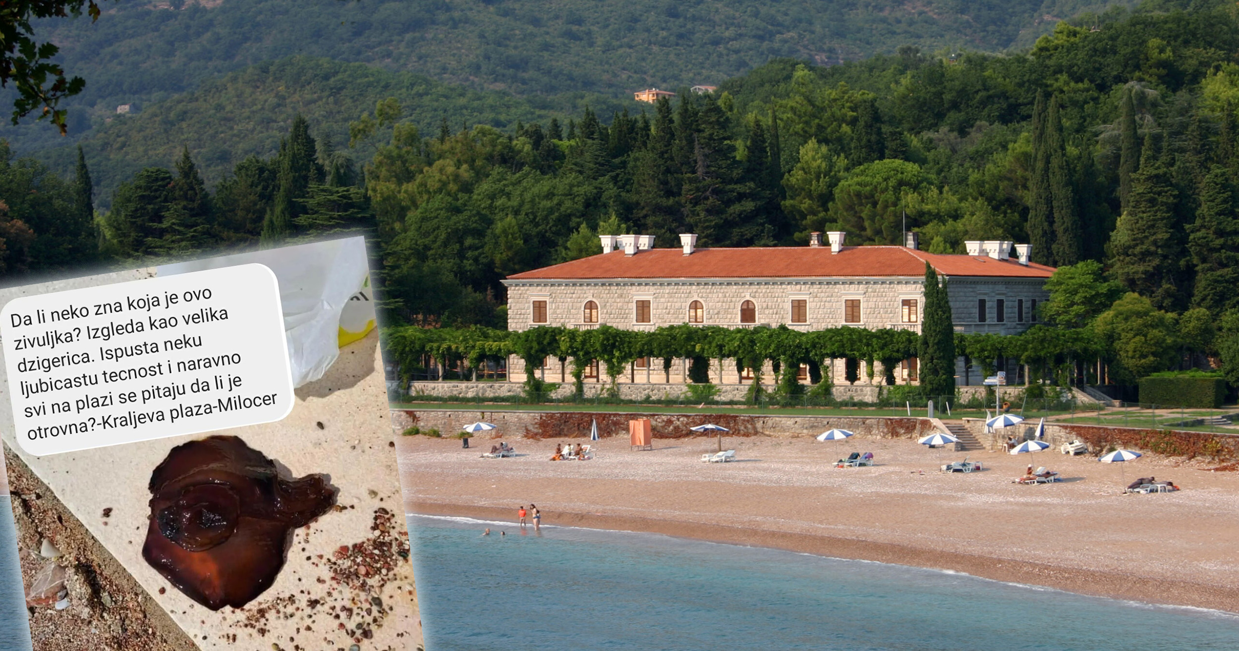 1688045888-Villa_Milocer-scaled copy