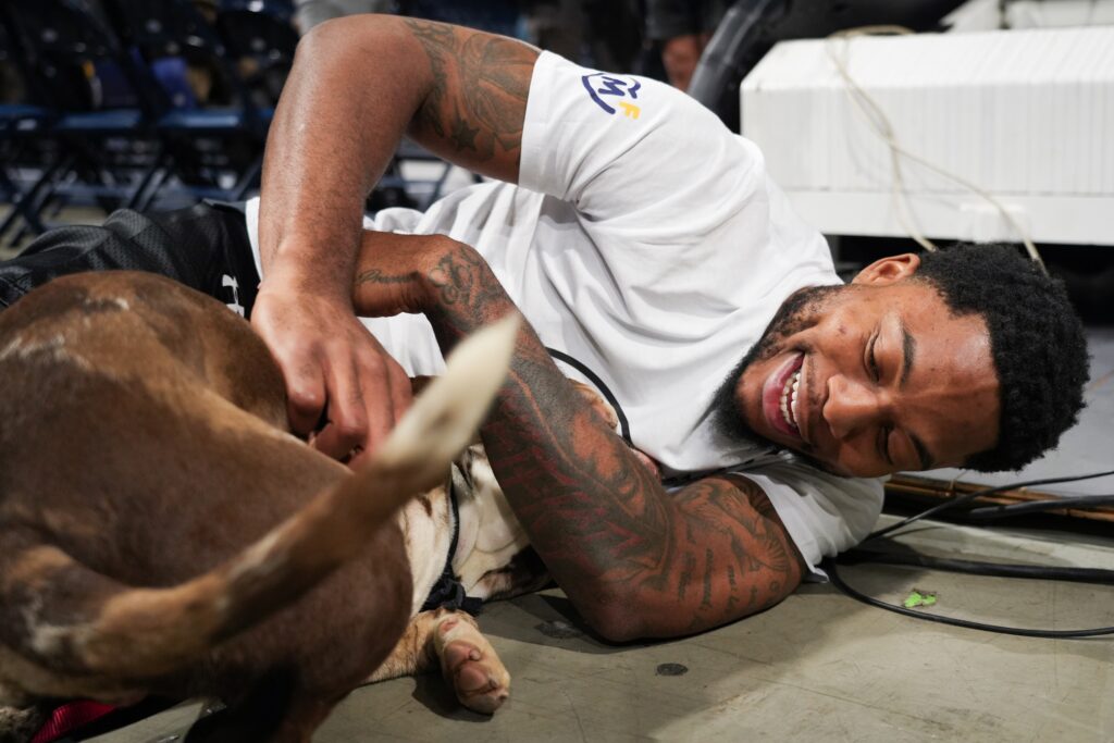 Mozzart PR tekst - objava PETAK 27.12. - isticanje od 14h