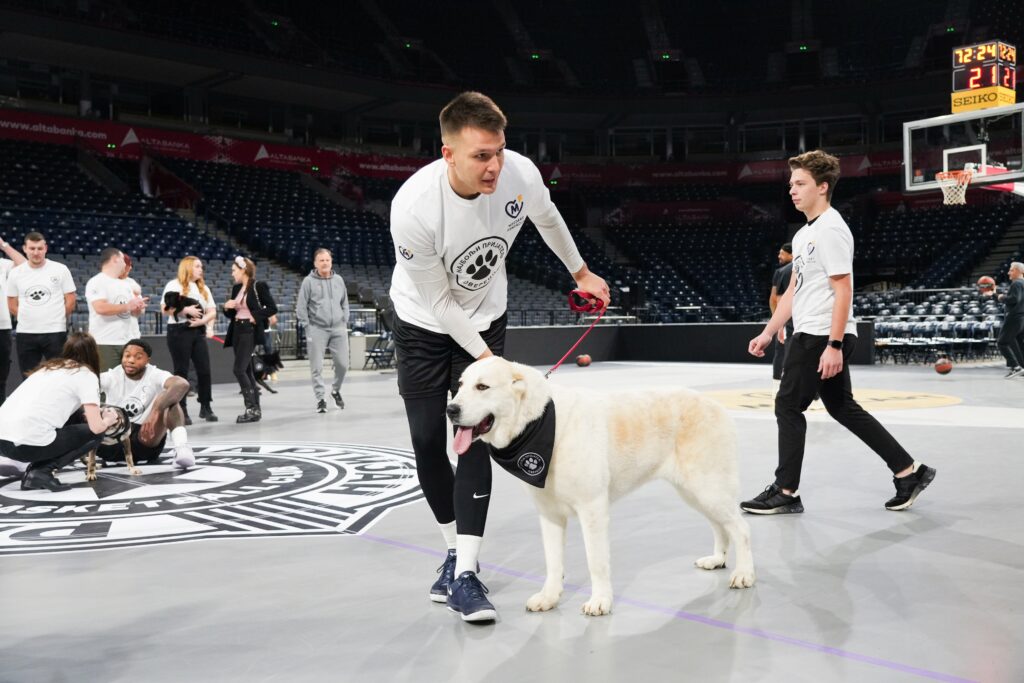 Mozzart PR tekst - objava PETAK 27.12. - isticanje od 14h