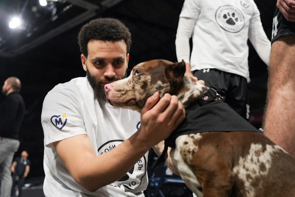 Mozzart PR tekst - objava PETAK 27.12. - isticanje od 14h