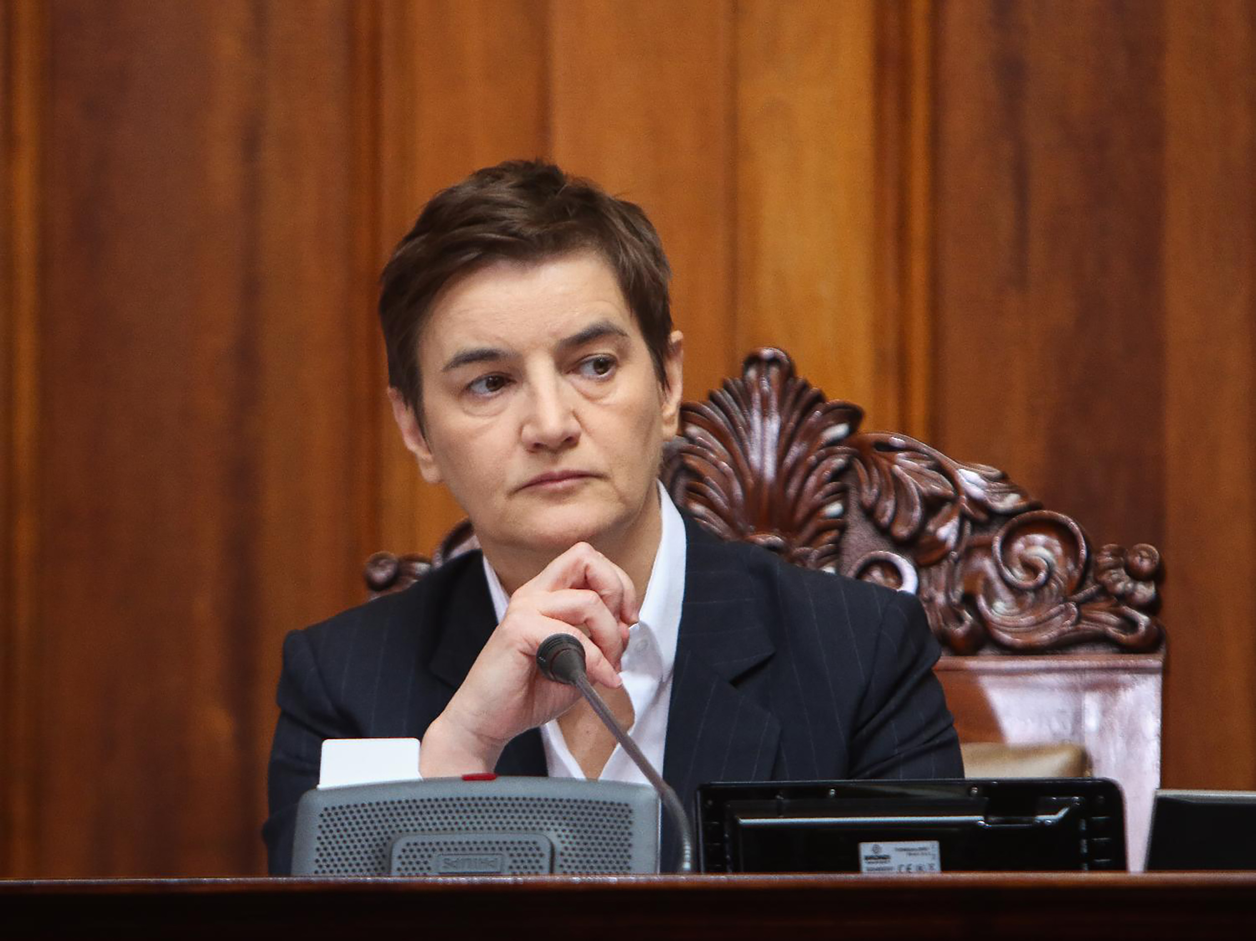 Skupstina_Srbije_II_03_Milica_Vuckovic_b