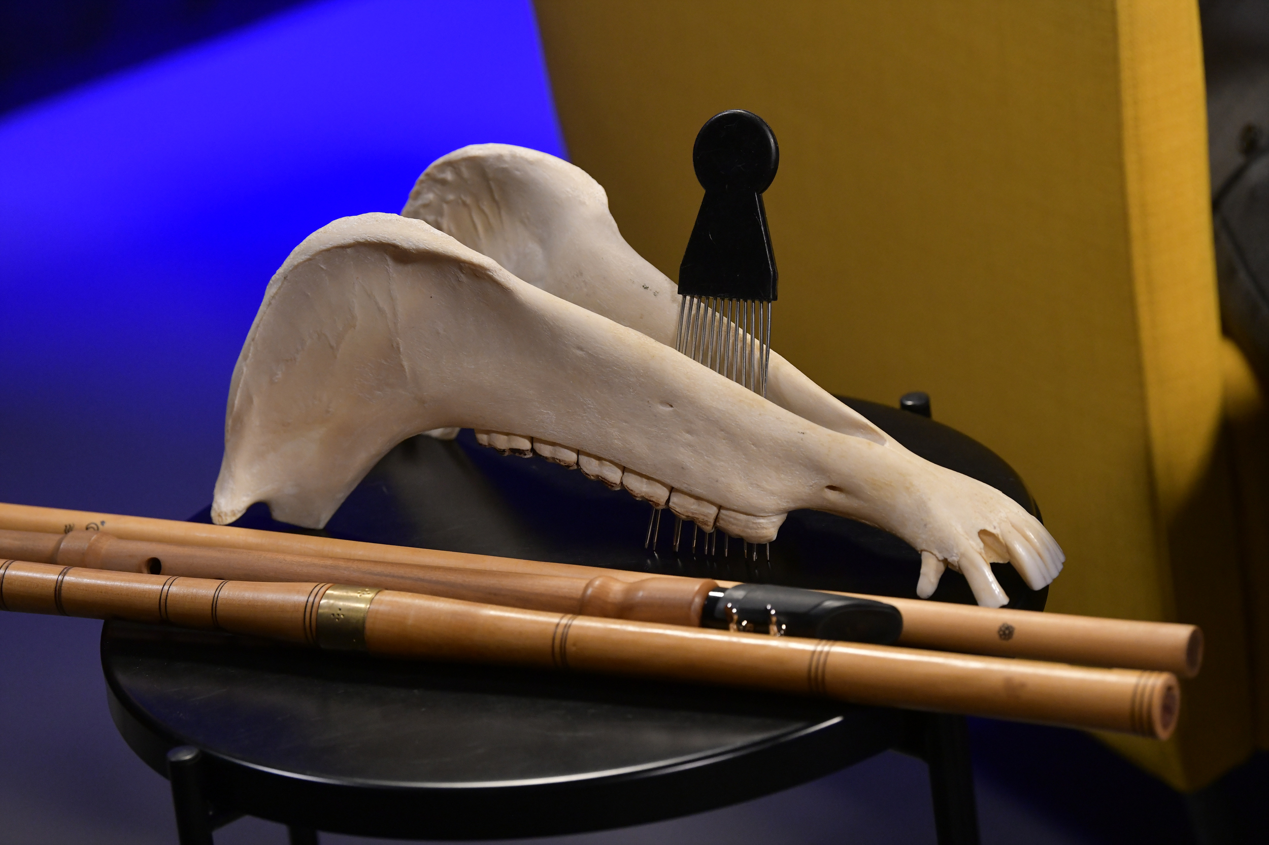 beograd 30.09.2024 ispovest intervju Dušan Stojadinović - Dule Resavac