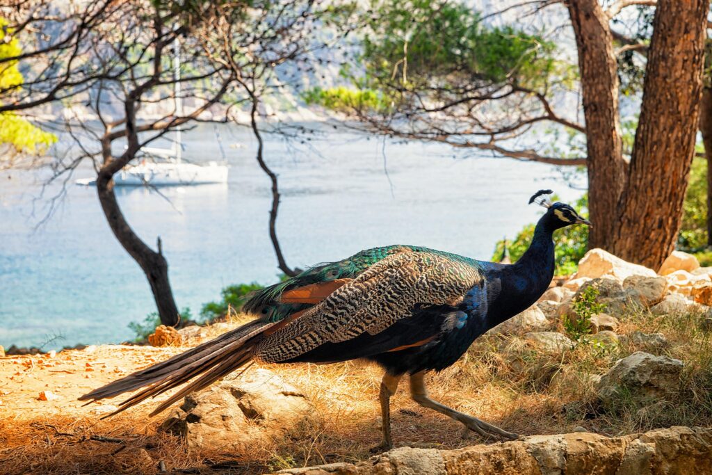 Image: 345640559, License: Royalty-free, Restrictions: , Model Release: no, Credit line: Roman Babakin / Alamy / Alamy / Profimedia