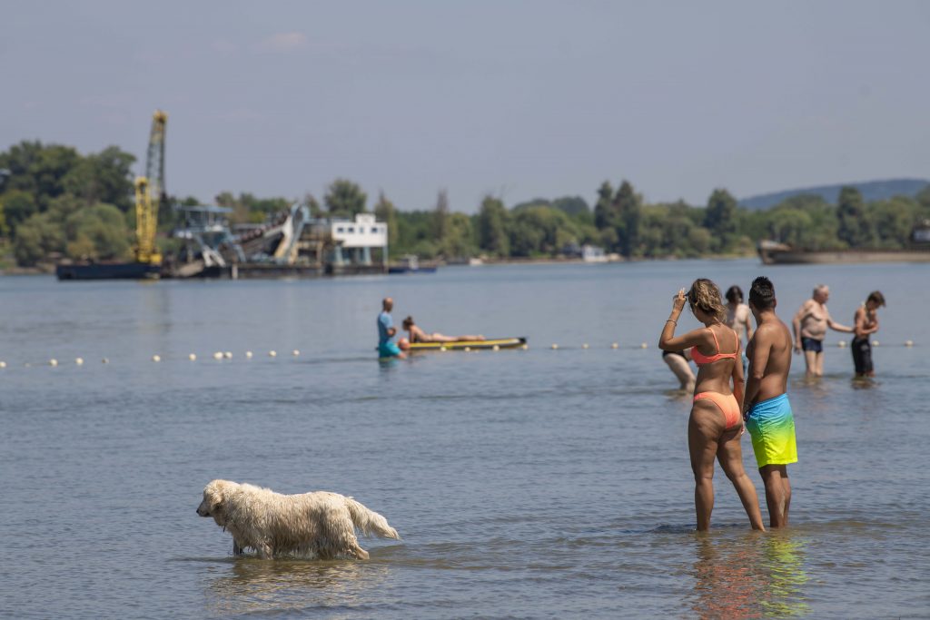 Zemun 25.07.2022 Lido kupaliste pontonski most kupaci skoljke reka