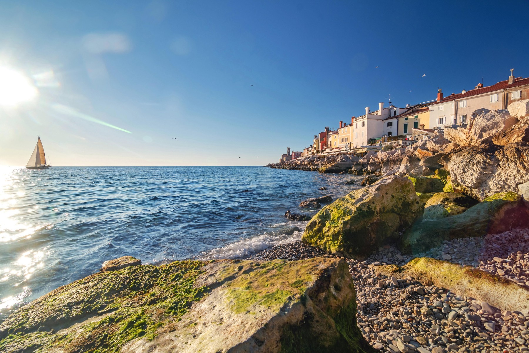 Image: 423052580, License: Royalty-free, Restrictions: , Model Release: no, Credit line: Uros Poteko / Alamy / Alamy / Profimedia