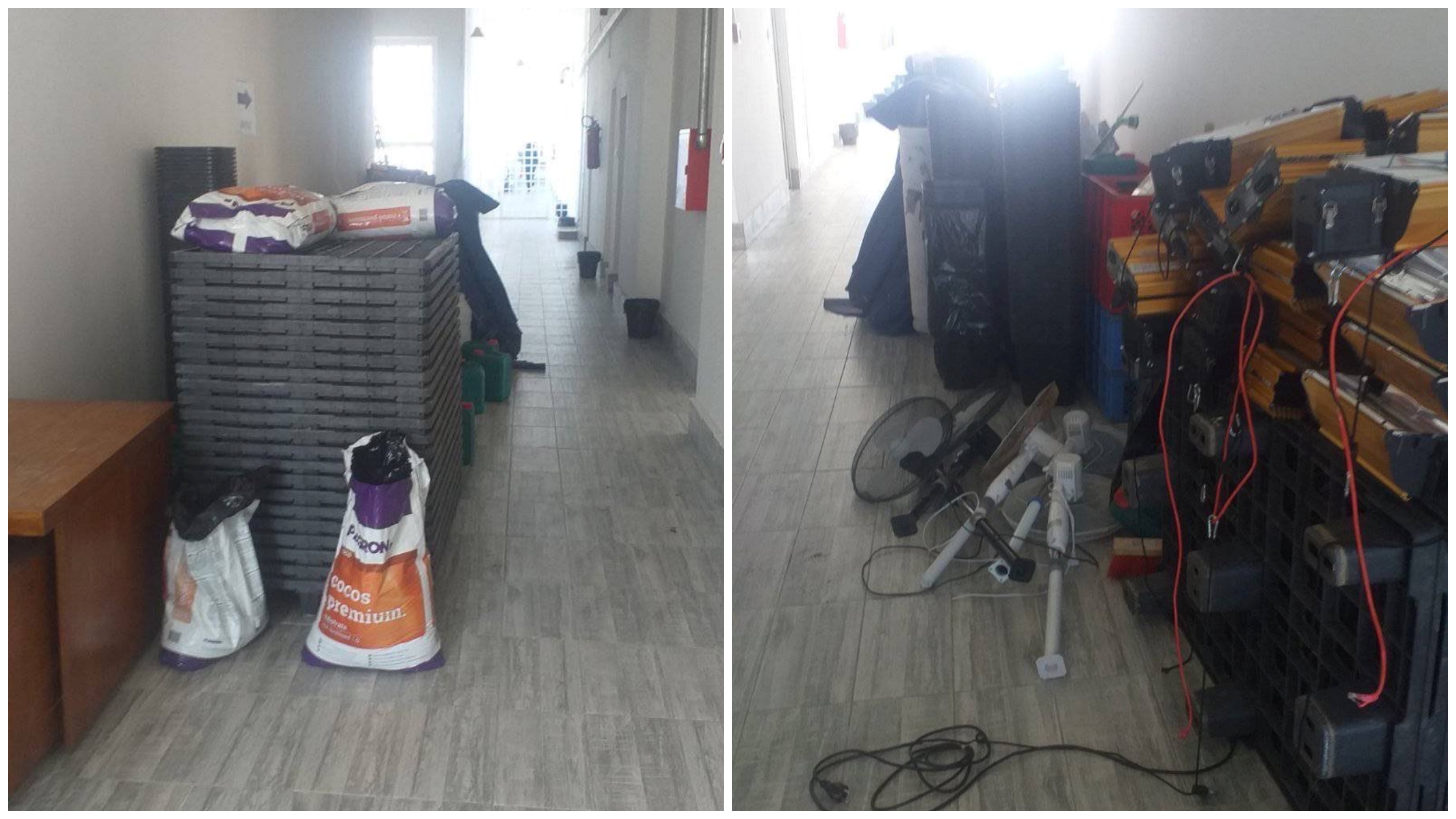 zaplenjena oprema za uzgoj marihuane u staklenicima, smešta u Specijalnu zatvorsku bolnicu, koja se nalazi u Bačvanskoj ulici, odmah pored Okružnog zatvora