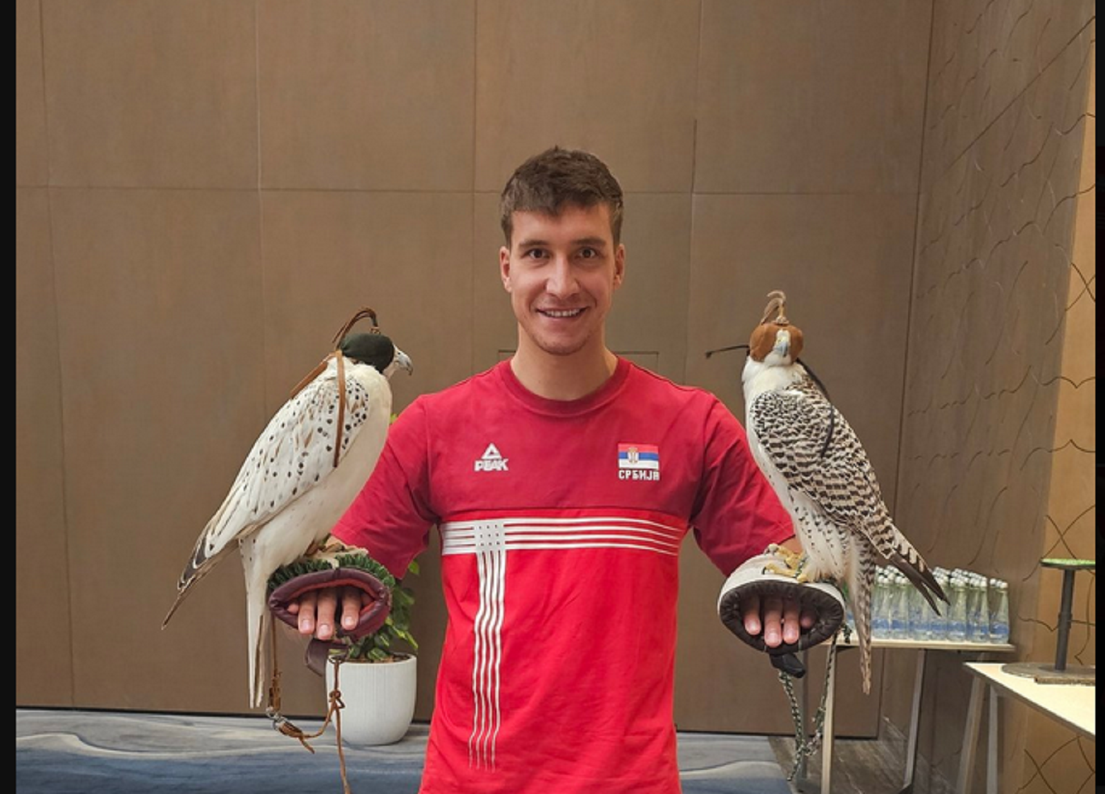 Bogdan Bogdanović dda