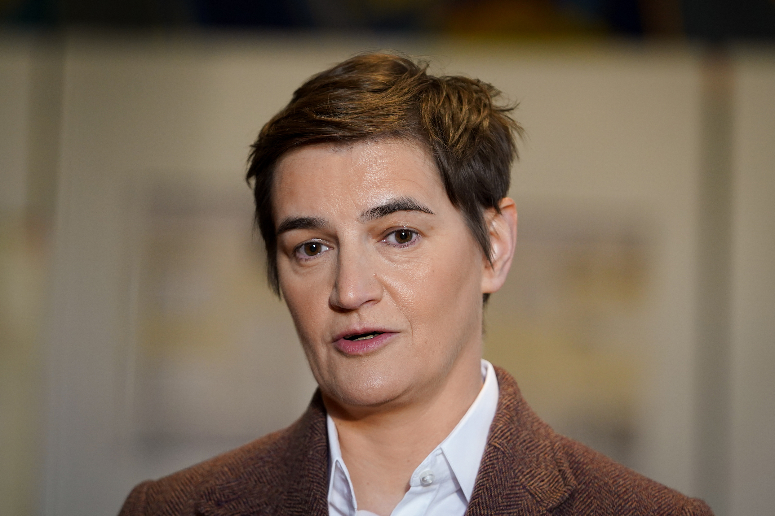 ANA BRNABIĆ