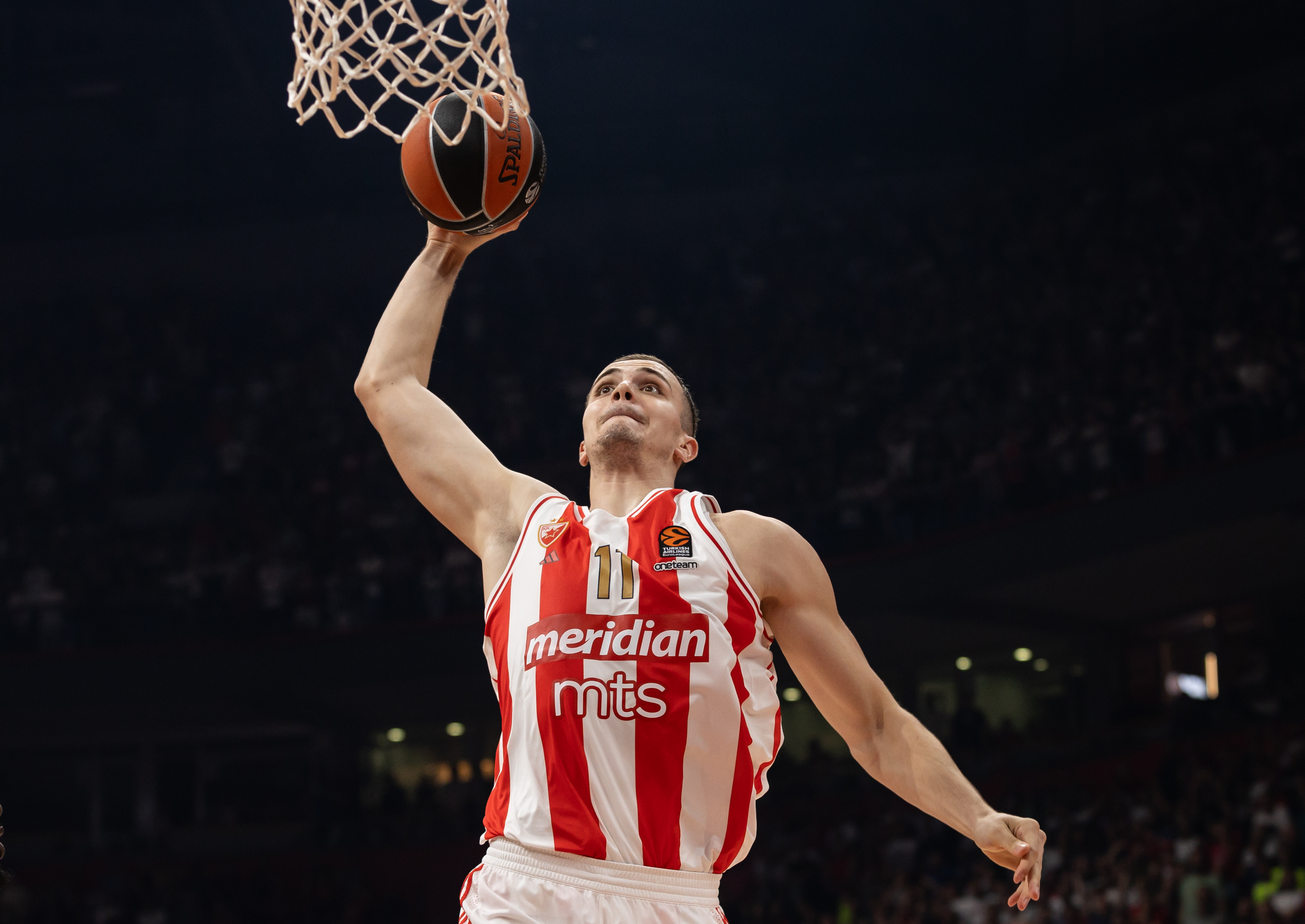 Crvena Zvezda v Asvel -  2023/2024 Turkish Airlines EuroLeague