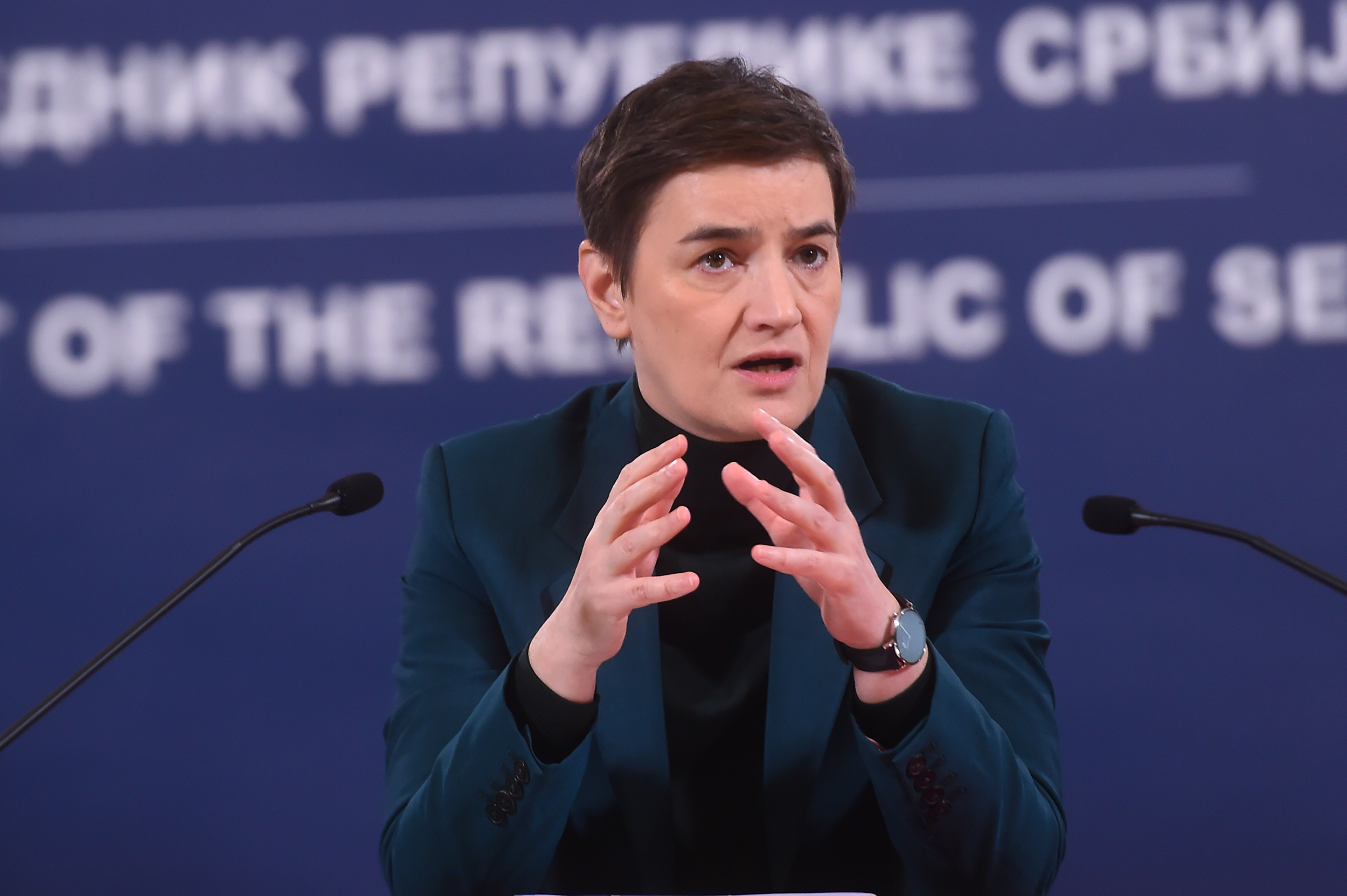 ANA BRNABIĆ