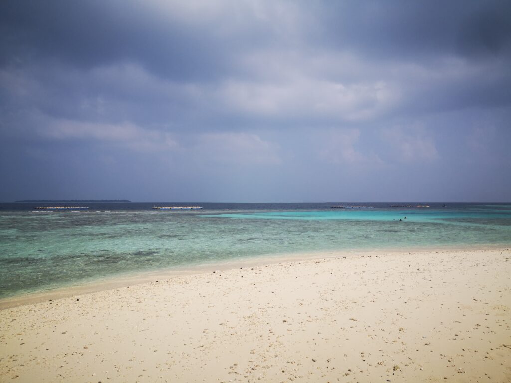 Maldivi