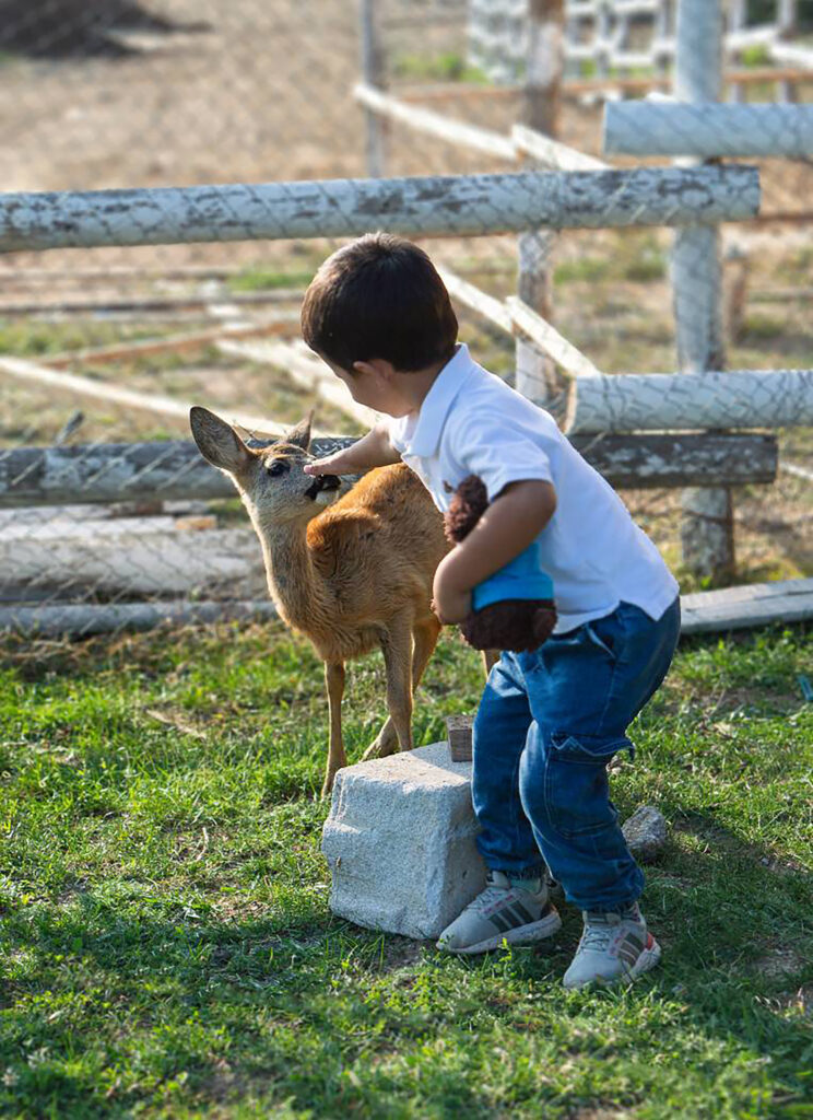 !!!!! ZA PONOVNO KORIŠĆENJE OVIH FOTOGRAFIJA MORA SE TRAŽITI ODOBRENJE PORTALA PRIČE SA DUŠOM!!!
Marko i Jovana Pantelić, preselilli se iz Amerike na Kosmaj