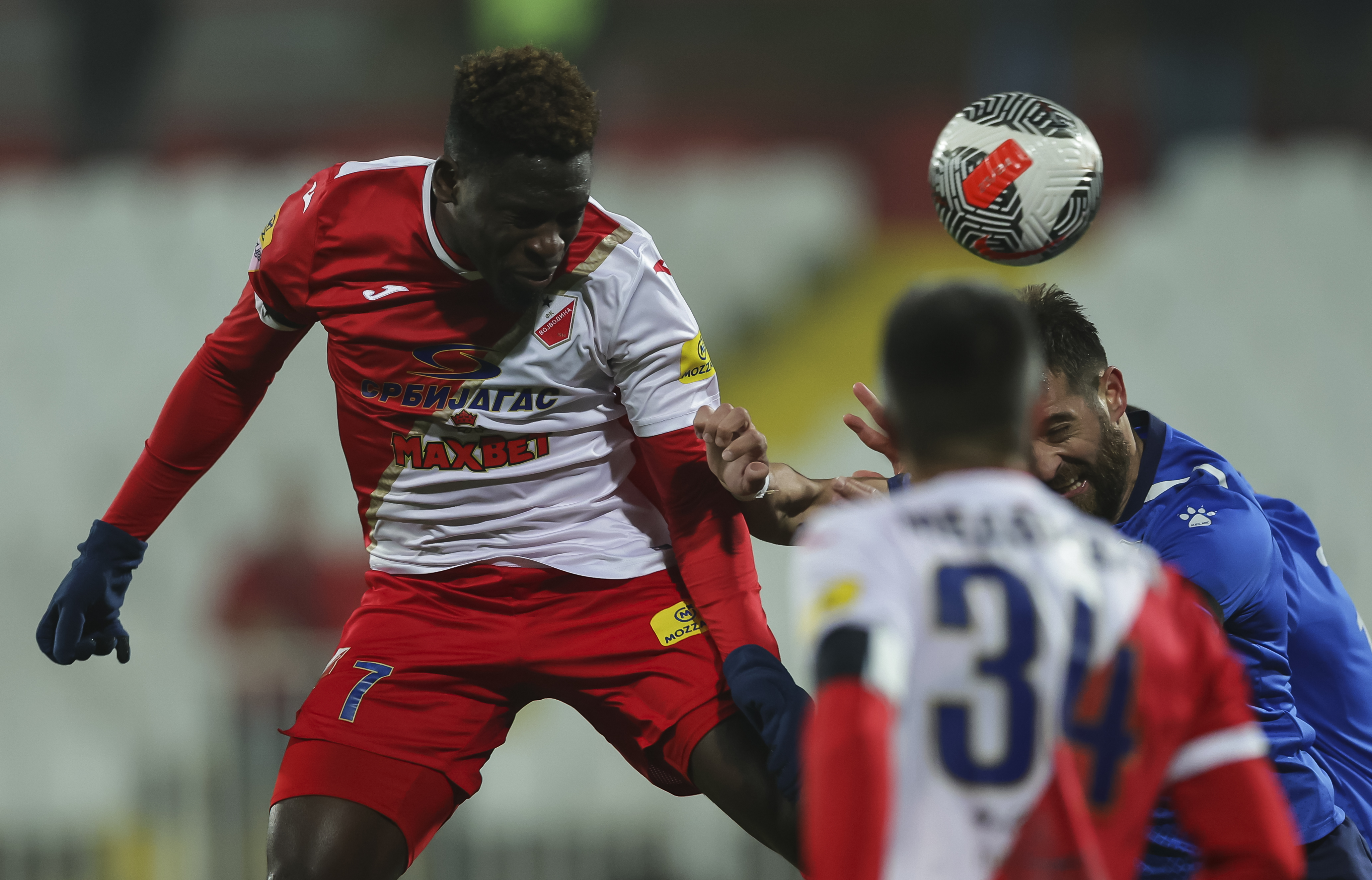 Bamidele Yusuf (L) during the Mozzart Super Liga Season 2024/2025 match between Vojvodina and Mladost Lucani at stadium Karadjordje on November 09, 2024 in Beograd, Serbia. (Photo by Srdjan Stevanovic/Starsport.rs ©)