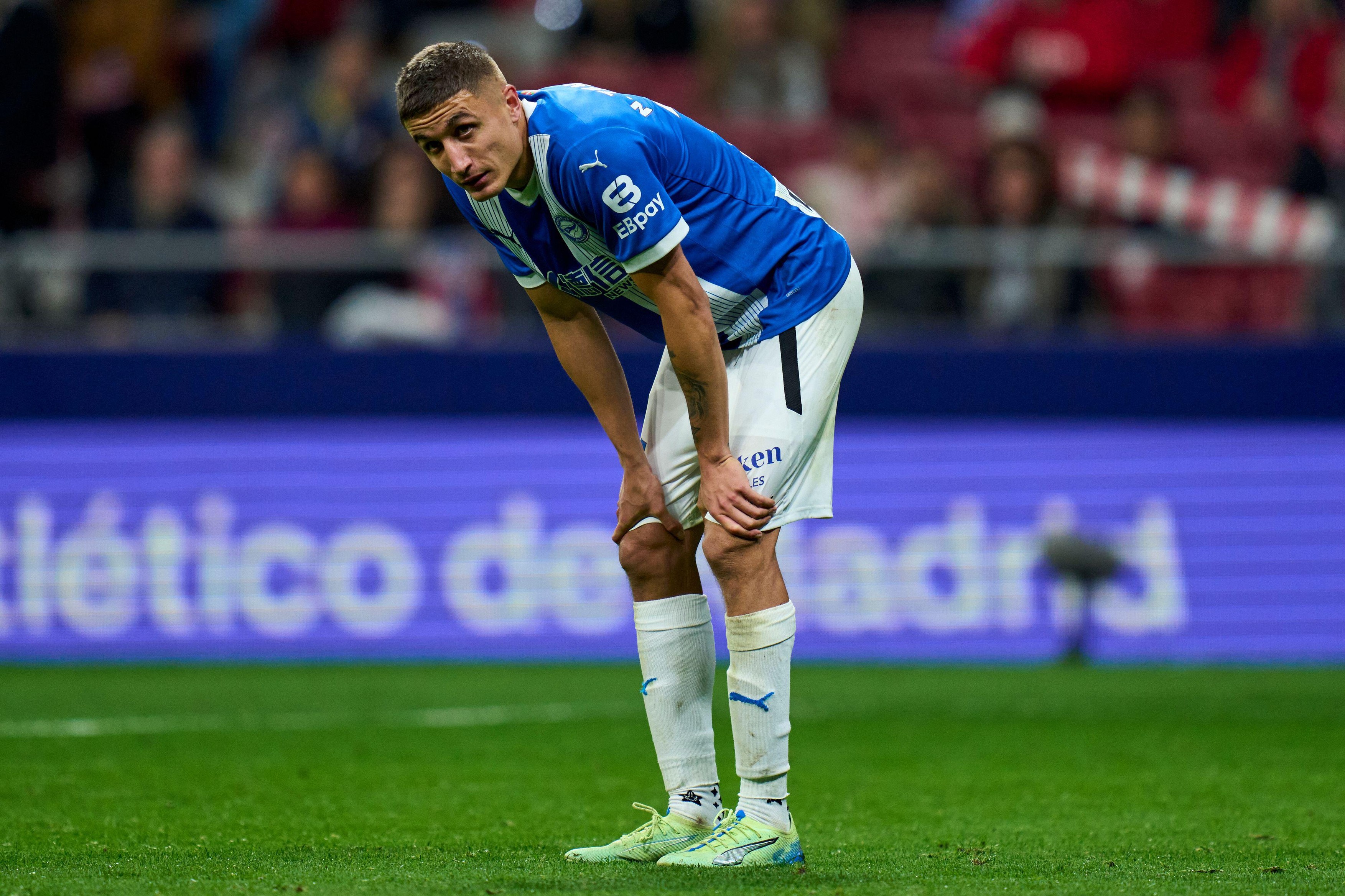 Madrid, Spain. 23rd Nov, 2024. Nahuel Tenaglia of Deportivo Alaves during the La Liga EA Sports match between Atletico de Madrid and Deportivo Alaves played at Riyadh Air Metropolitano Stadium on November 23, 2024 in Madrid, Spain. (Photo by Cesar Cebolla