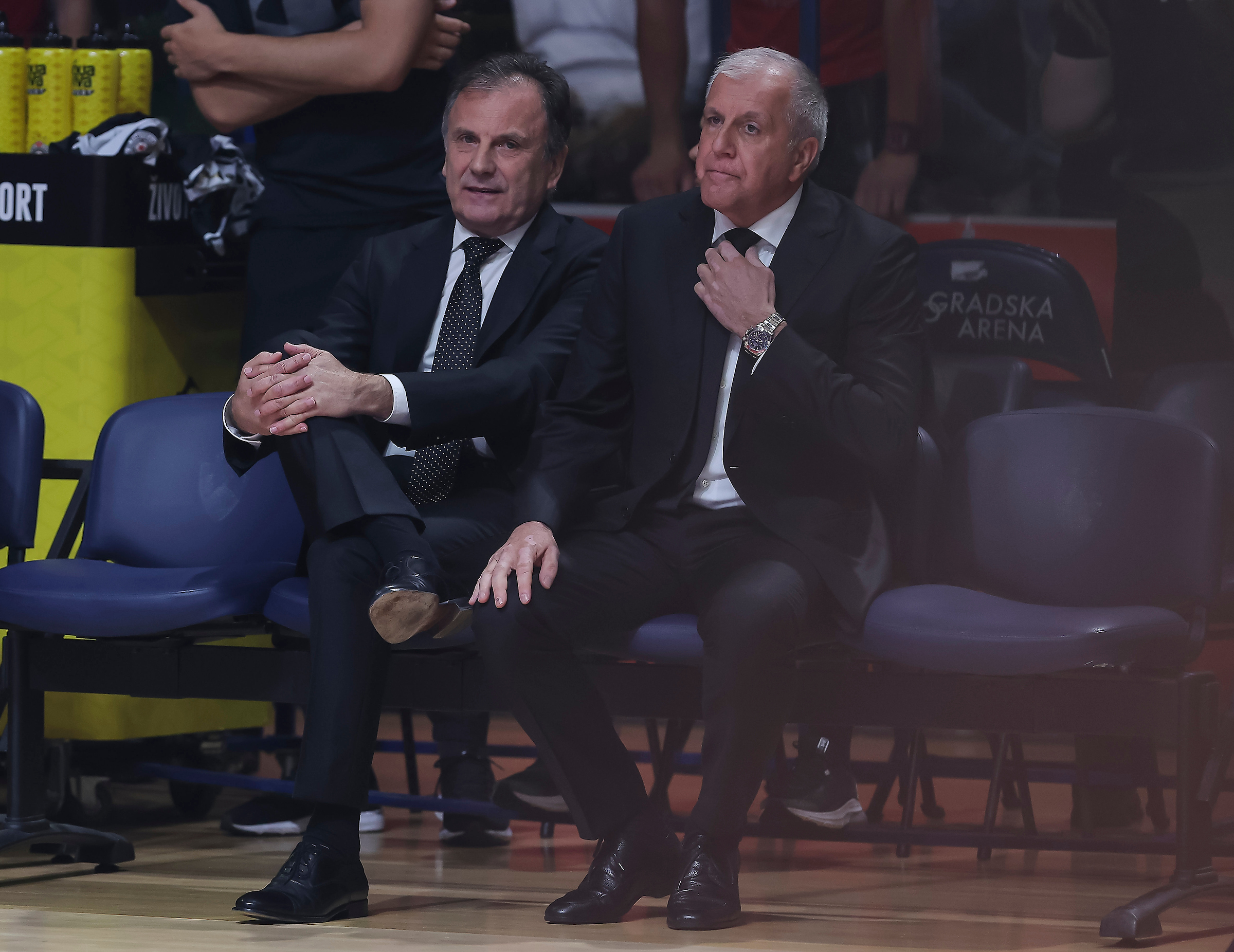 ZVEZDA-PARTIZAN-GAME 1_29