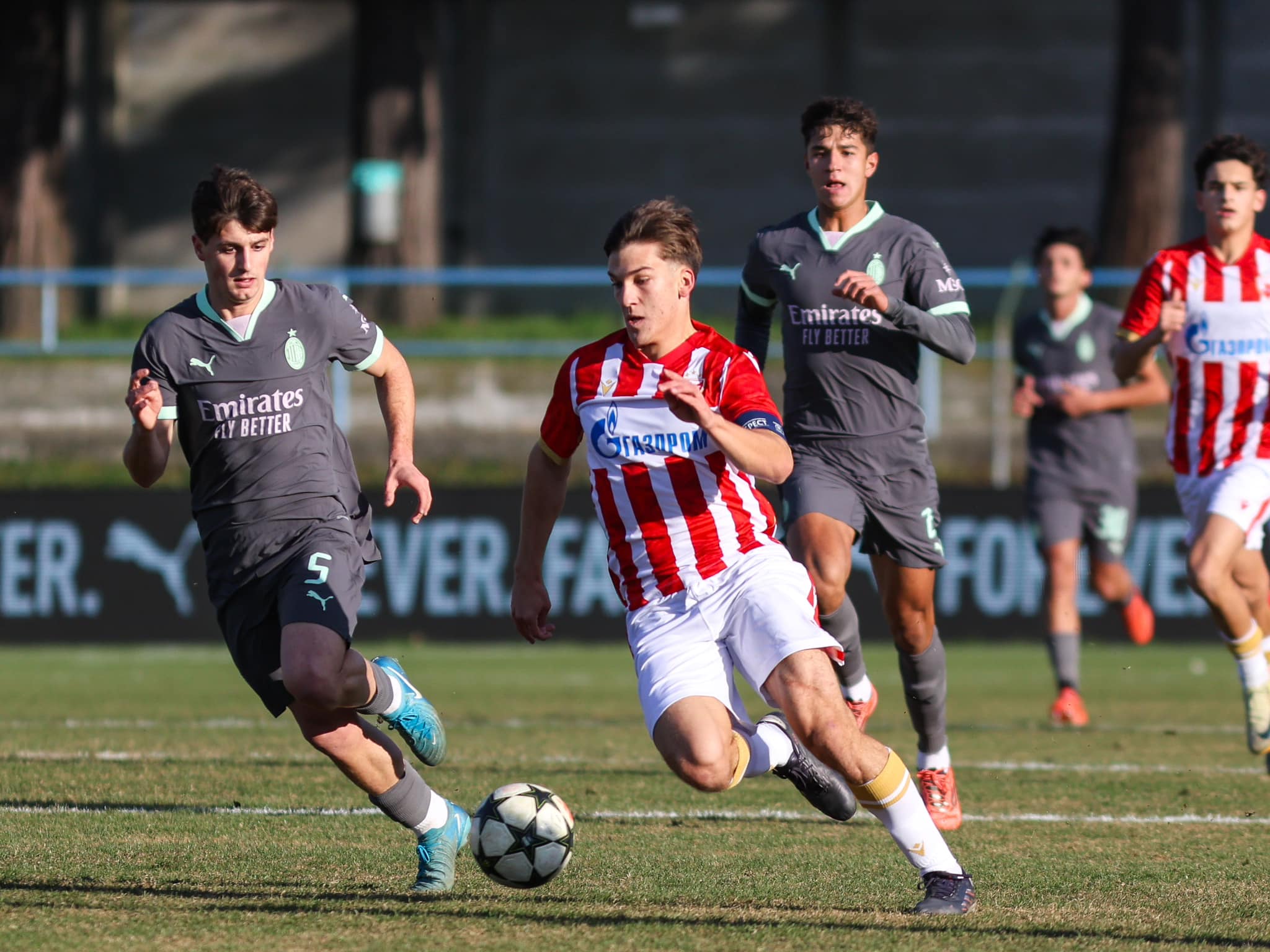 FK Crvena zvezda omladinci