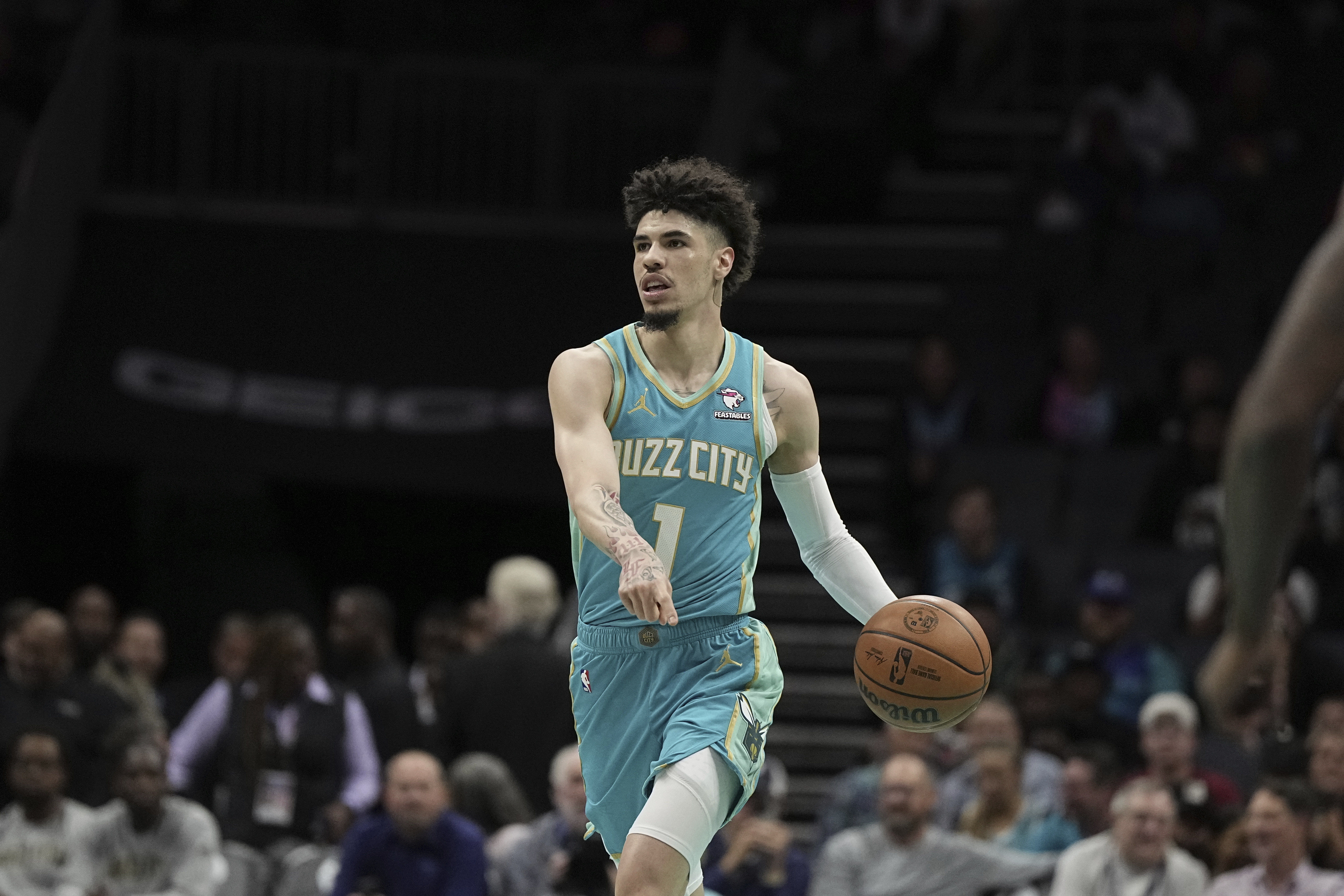 Heat Hornets Basketball