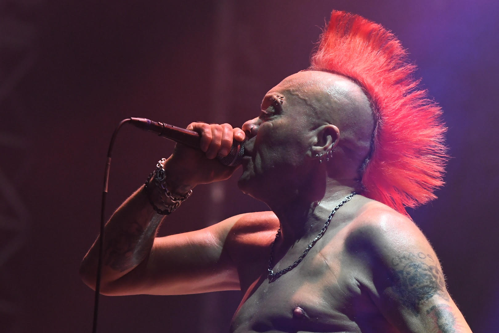 The Exploited, Exit festival