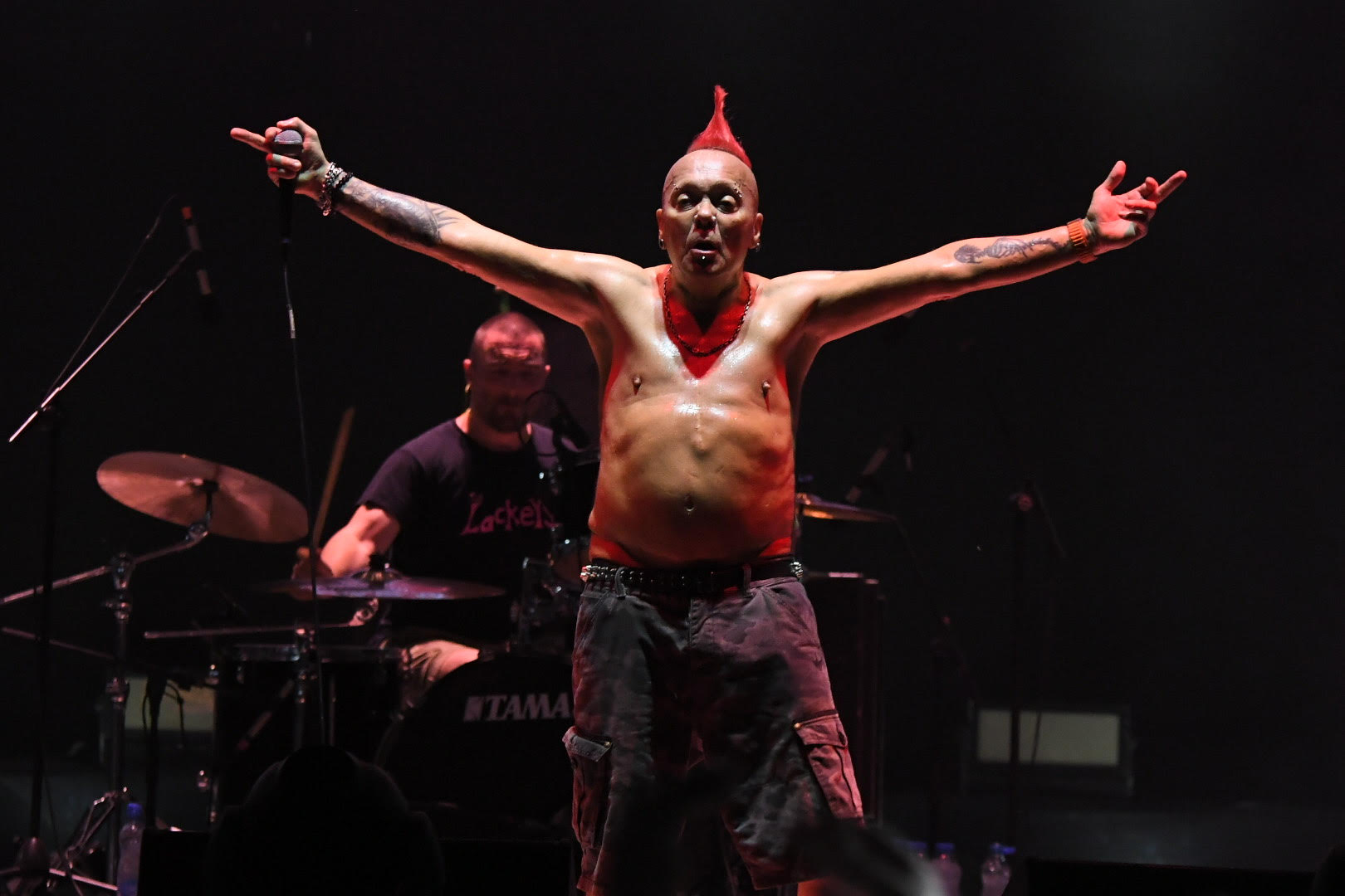 The Exploited, Exit festival