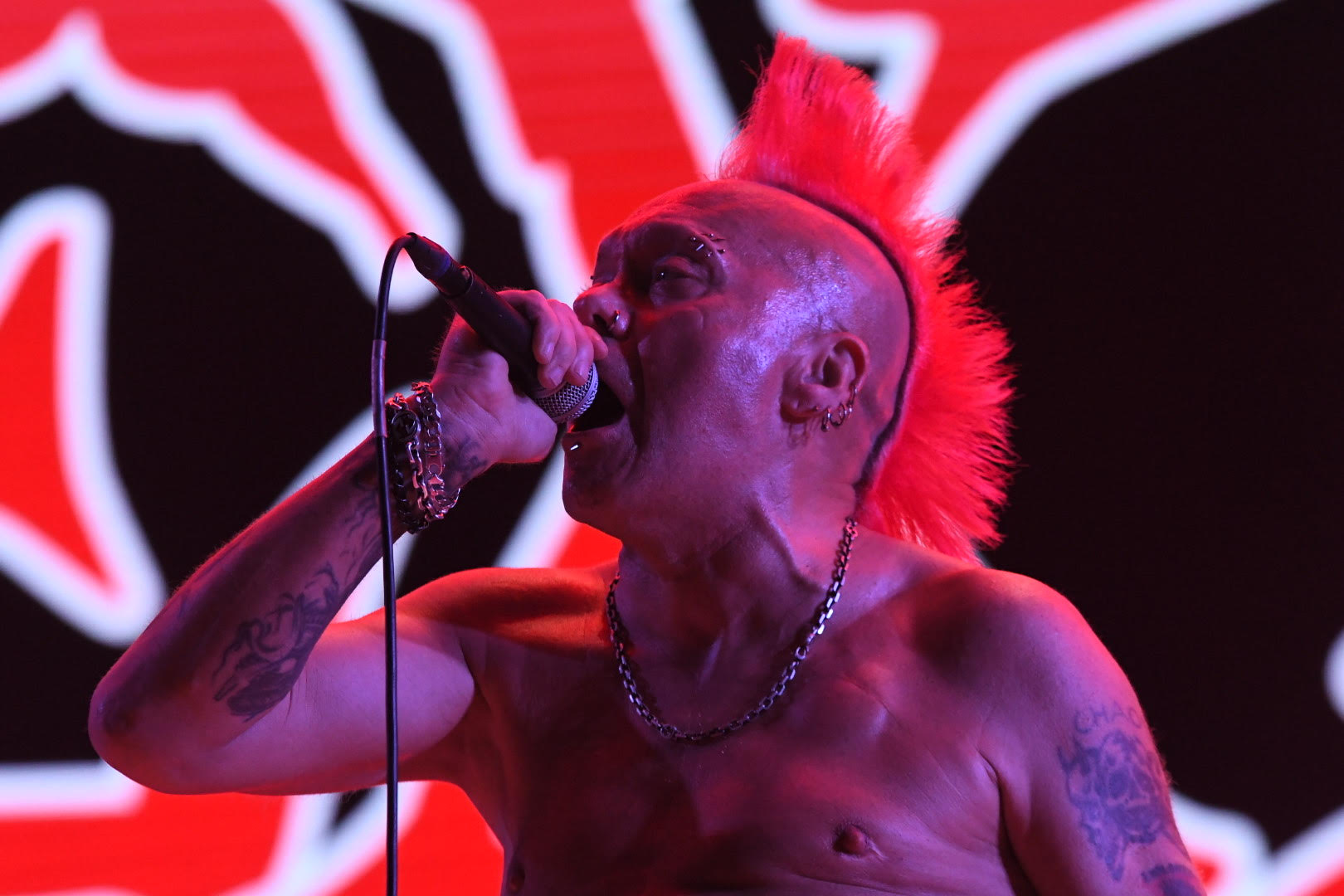 The Exploited, Exit festival