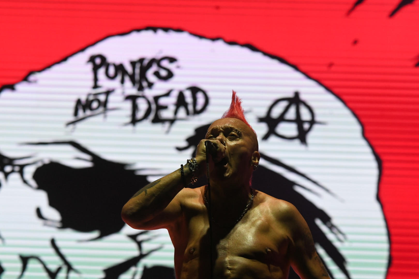 The Exploited, Exit festival